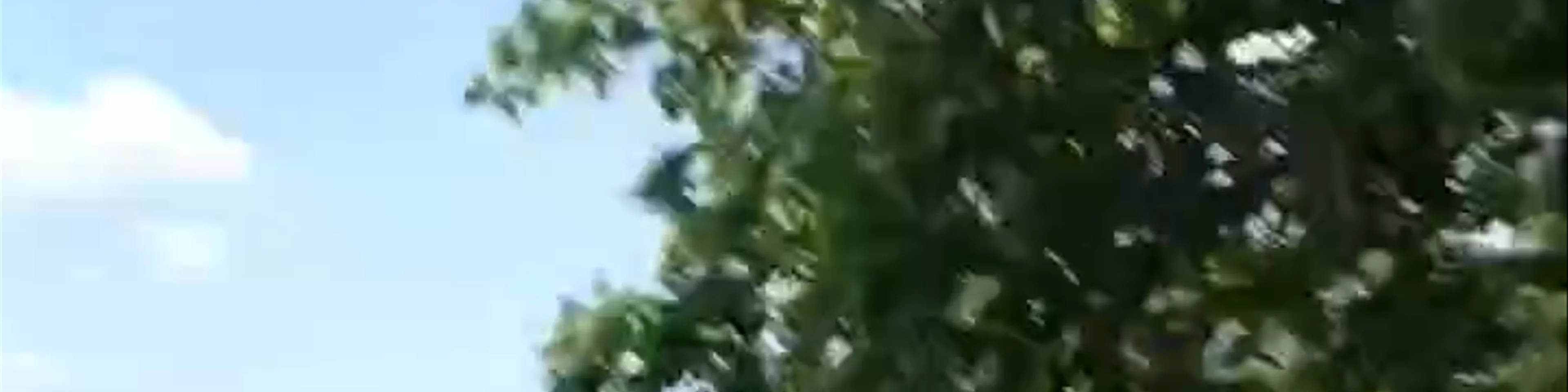 Η ταβέρνα της Μαρίας