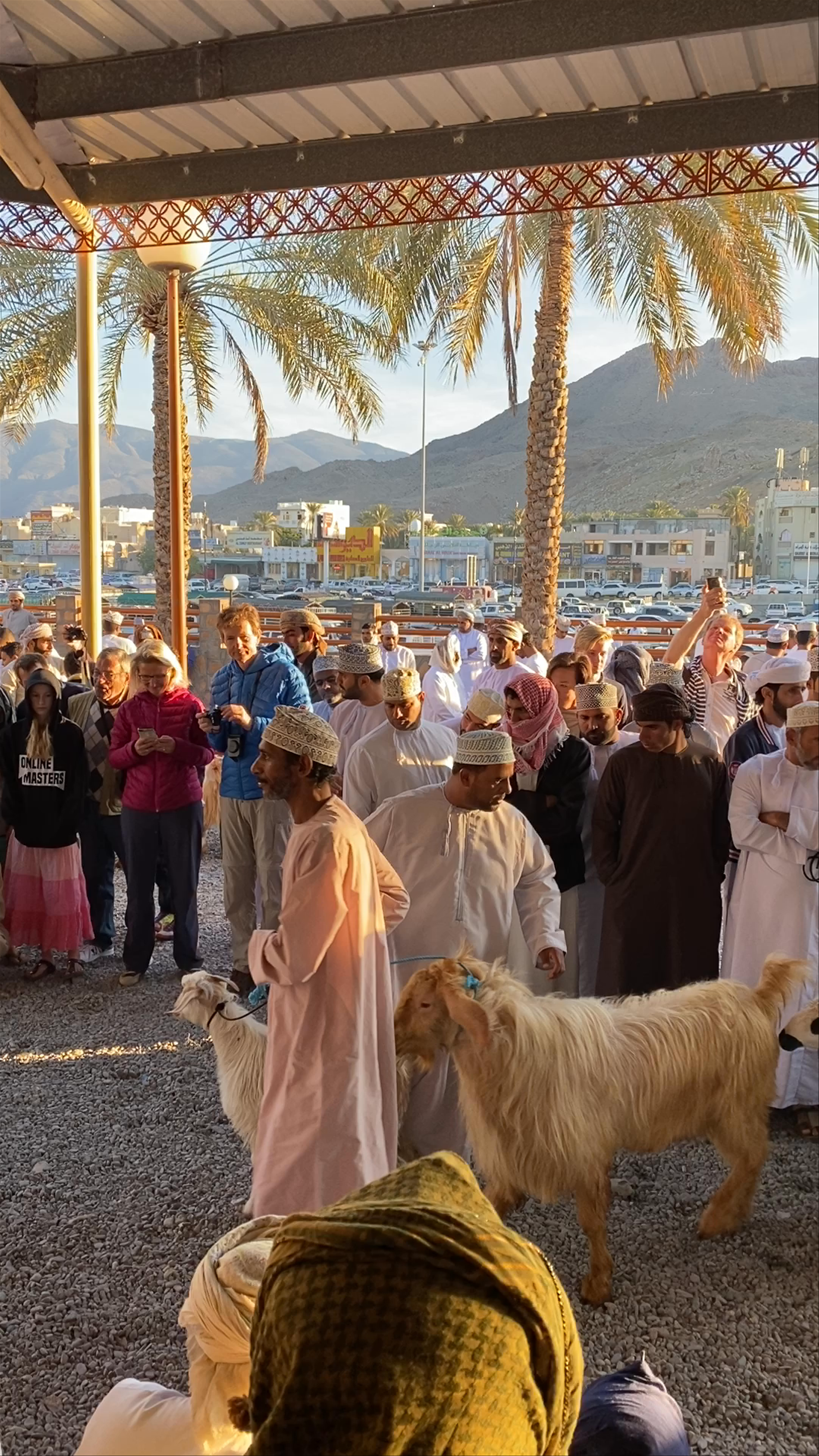 Friday Goat Auction Nizwa Souq