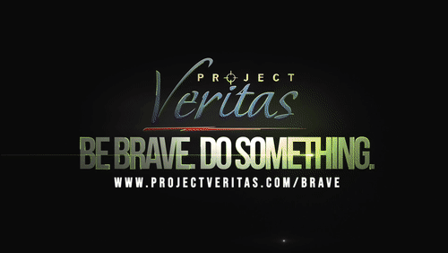 Video Thumbnail Loop