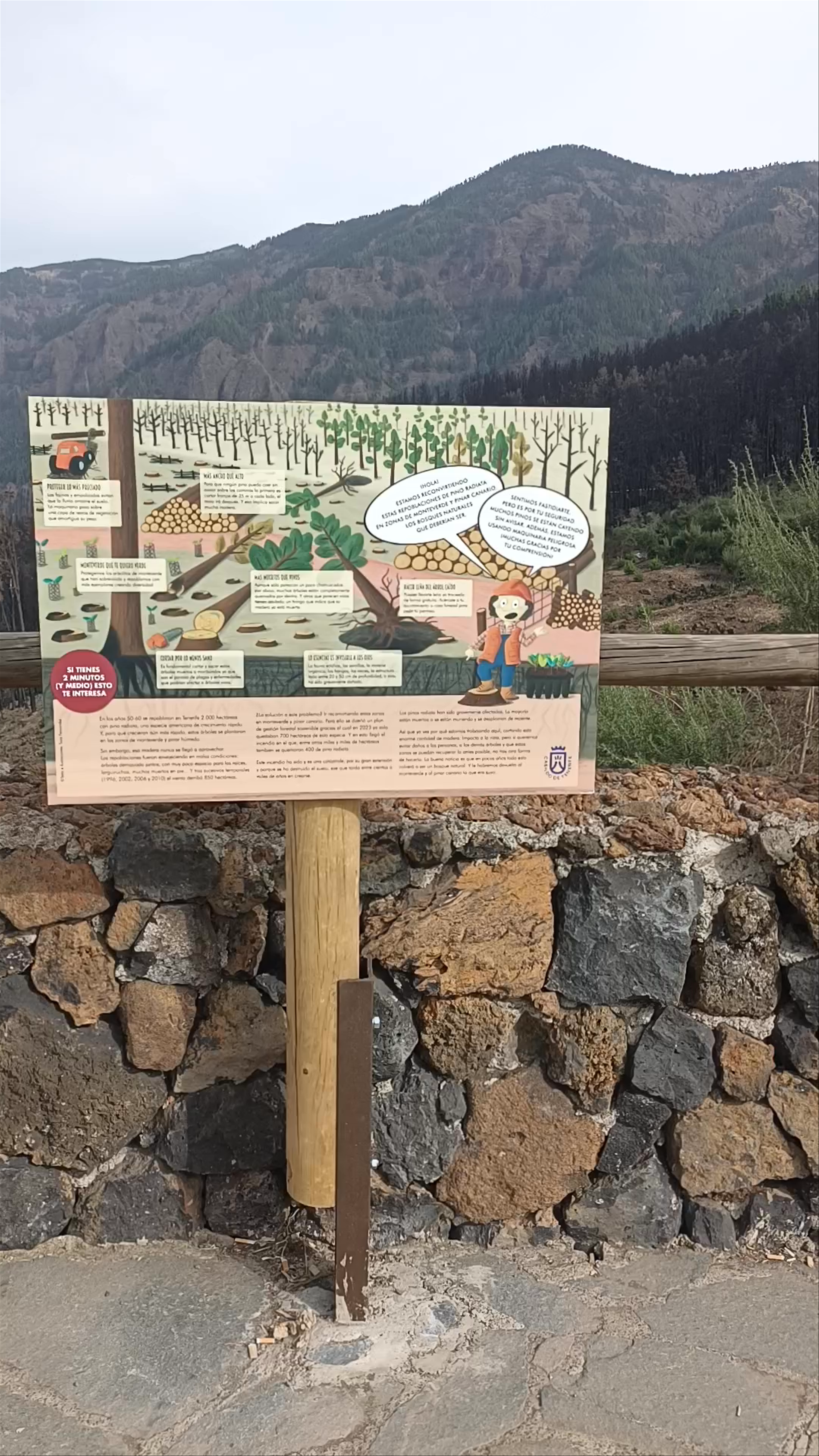 Mirador de La Bermeja: Scenic Vista of La Orotava’s Burnt Forest Landscape