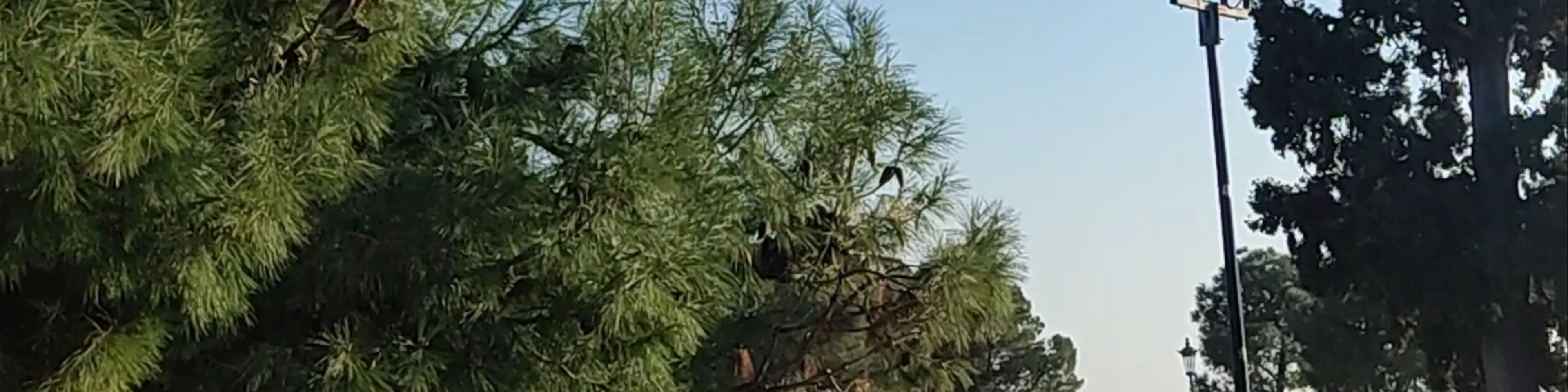 Λευκός Πύργος της Θεσσαλονίκης