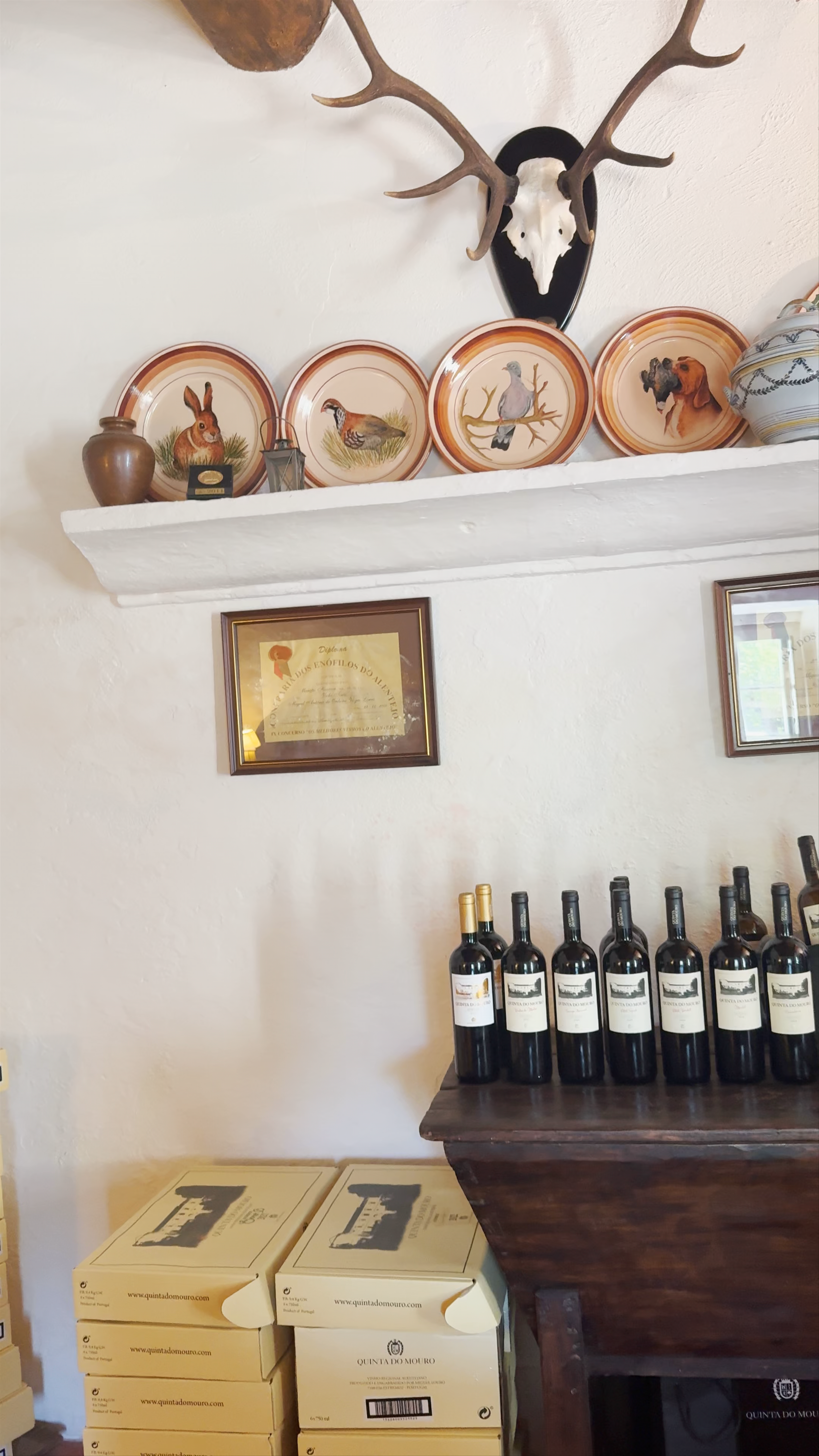 Quinta do Mouro: Rustic Alentejo Wine Experience in Vimieiro, Portugal