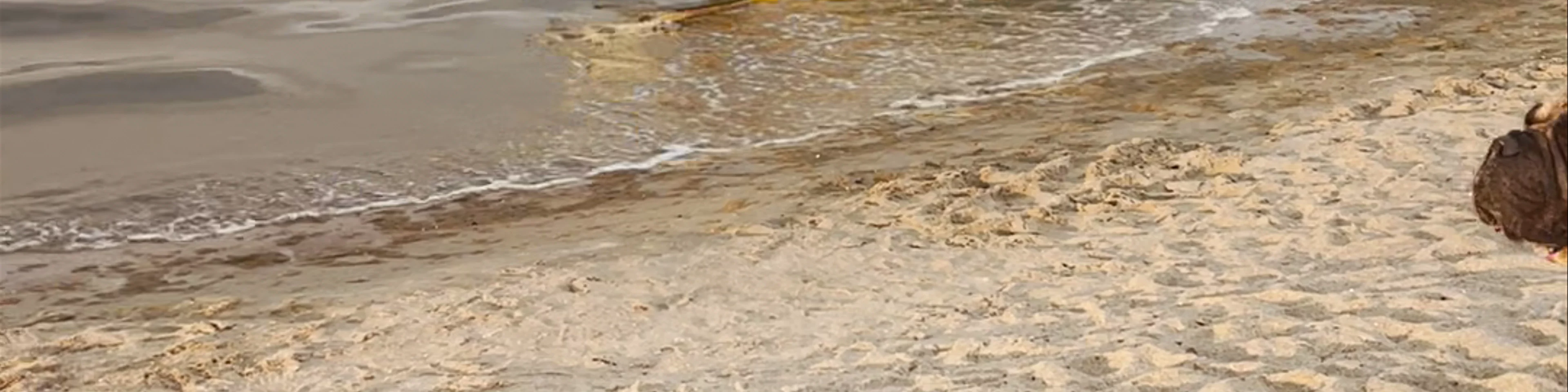 Sopot Beach