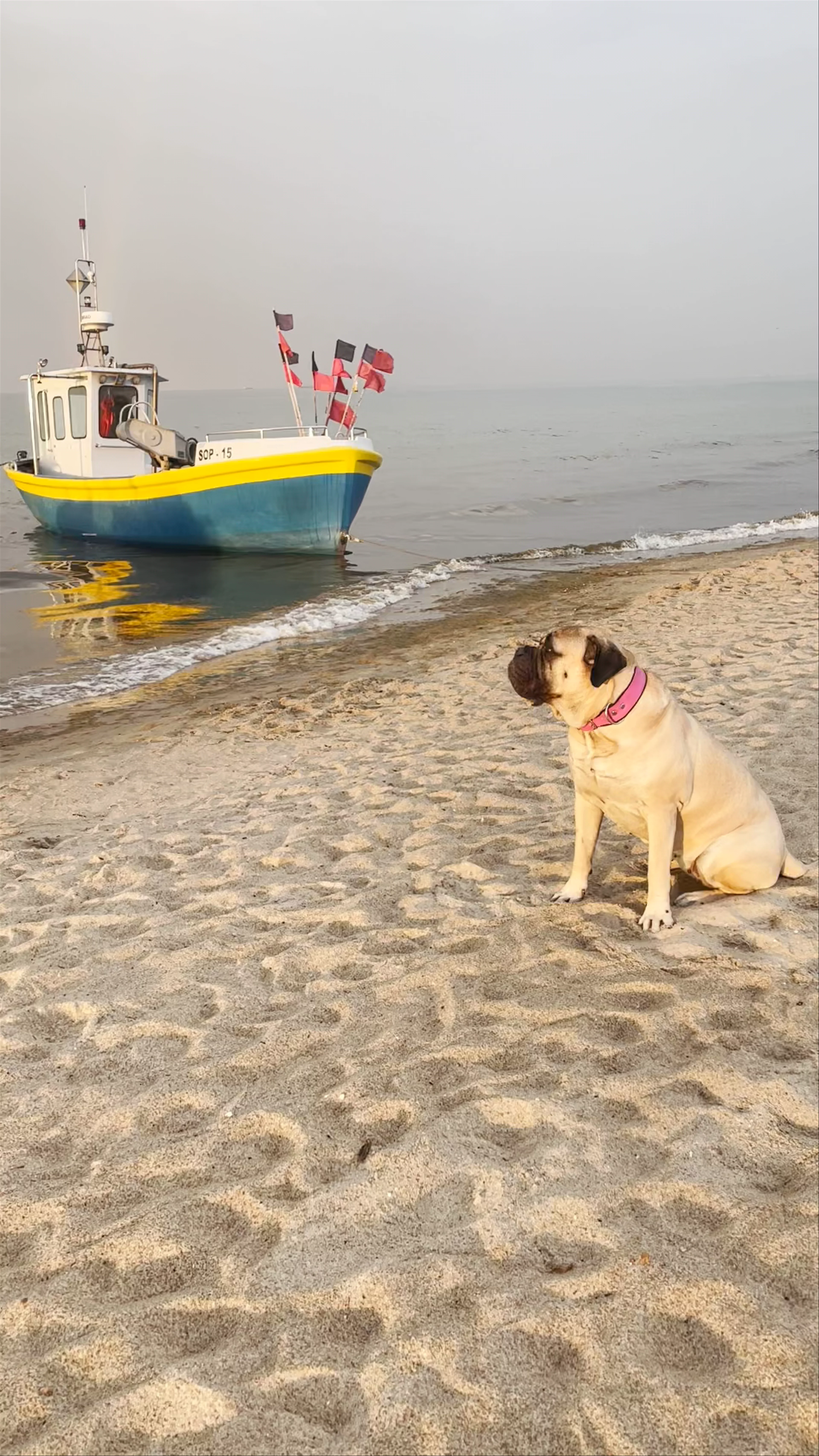 Sopot Beach