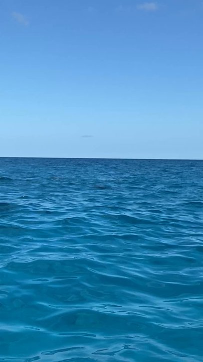 Key King Charters - Boat Charters Near Me
