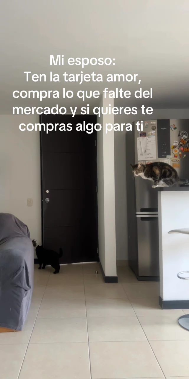Me compre una freidora Ninja