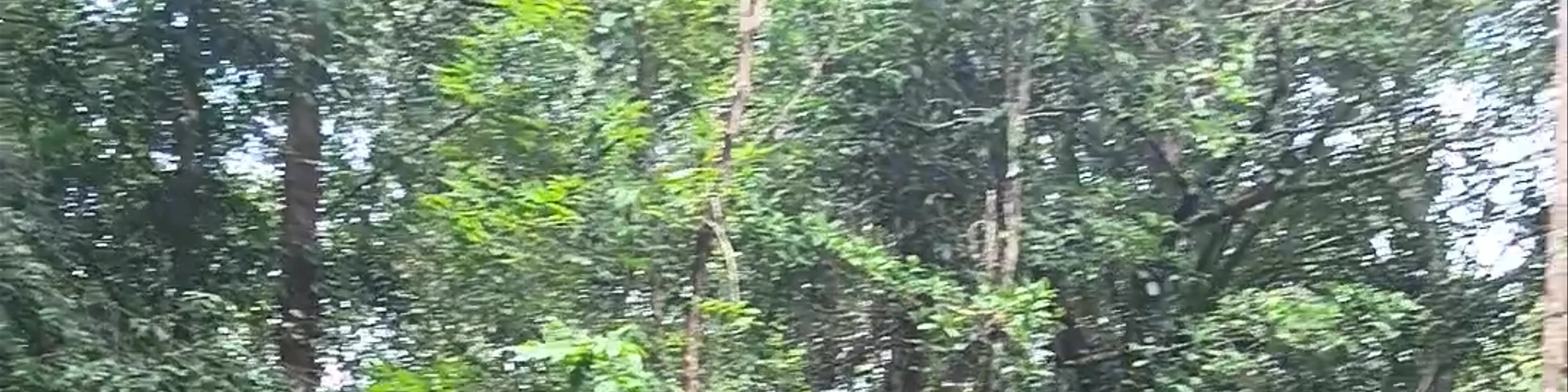 gunung serapi kuching
