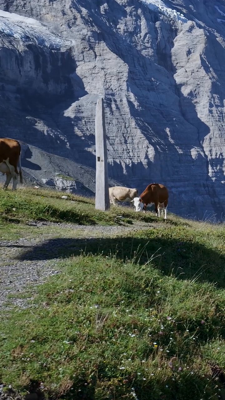 romanticize your life
📍 Swiss Alps
🎥 Matthias Groeneveld · Pexels
#travel #europe #eurotrip #wanderlust #vacation