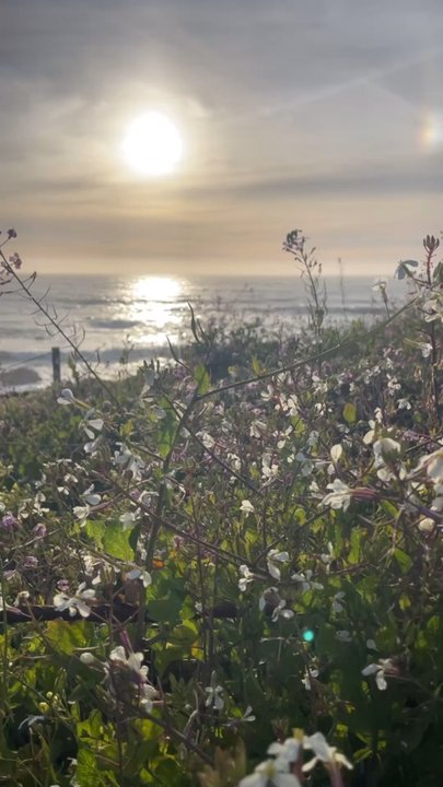 Moonstone Beach - Sunset - Beaches Near Me - Cambria, California