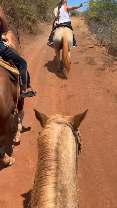 Maui Mountain Activities - Cole's favorite view of the trail. so he can scope out his fishing spots! haha - Horseback Riding Near Me - Wailuku, Hawaii
