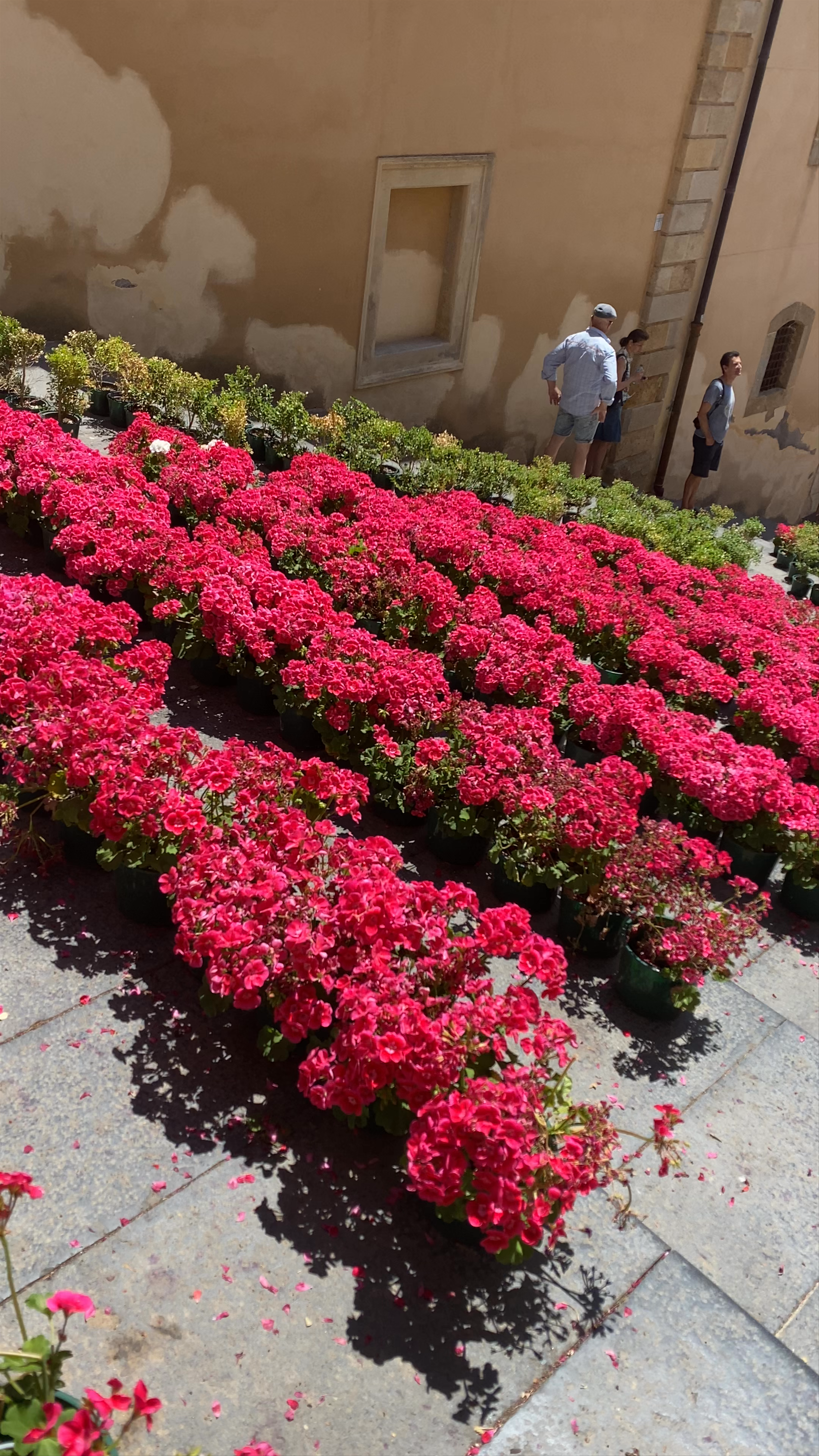 Staircase of Santa María del Monte