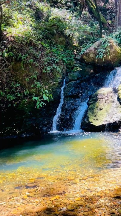 Cataract Falls Trail - Hiking Near Me