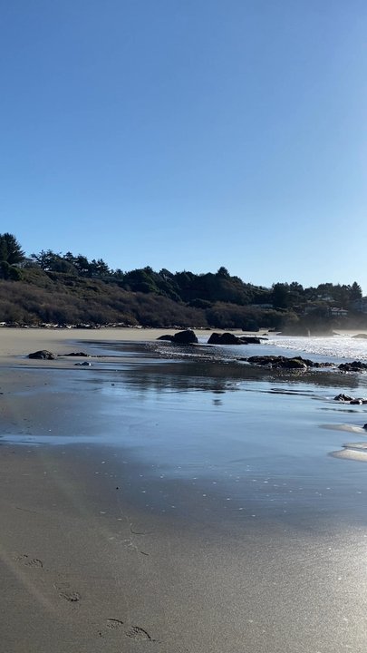 Harris Beach State Park - Parks Near Me - Brookings, Oregon