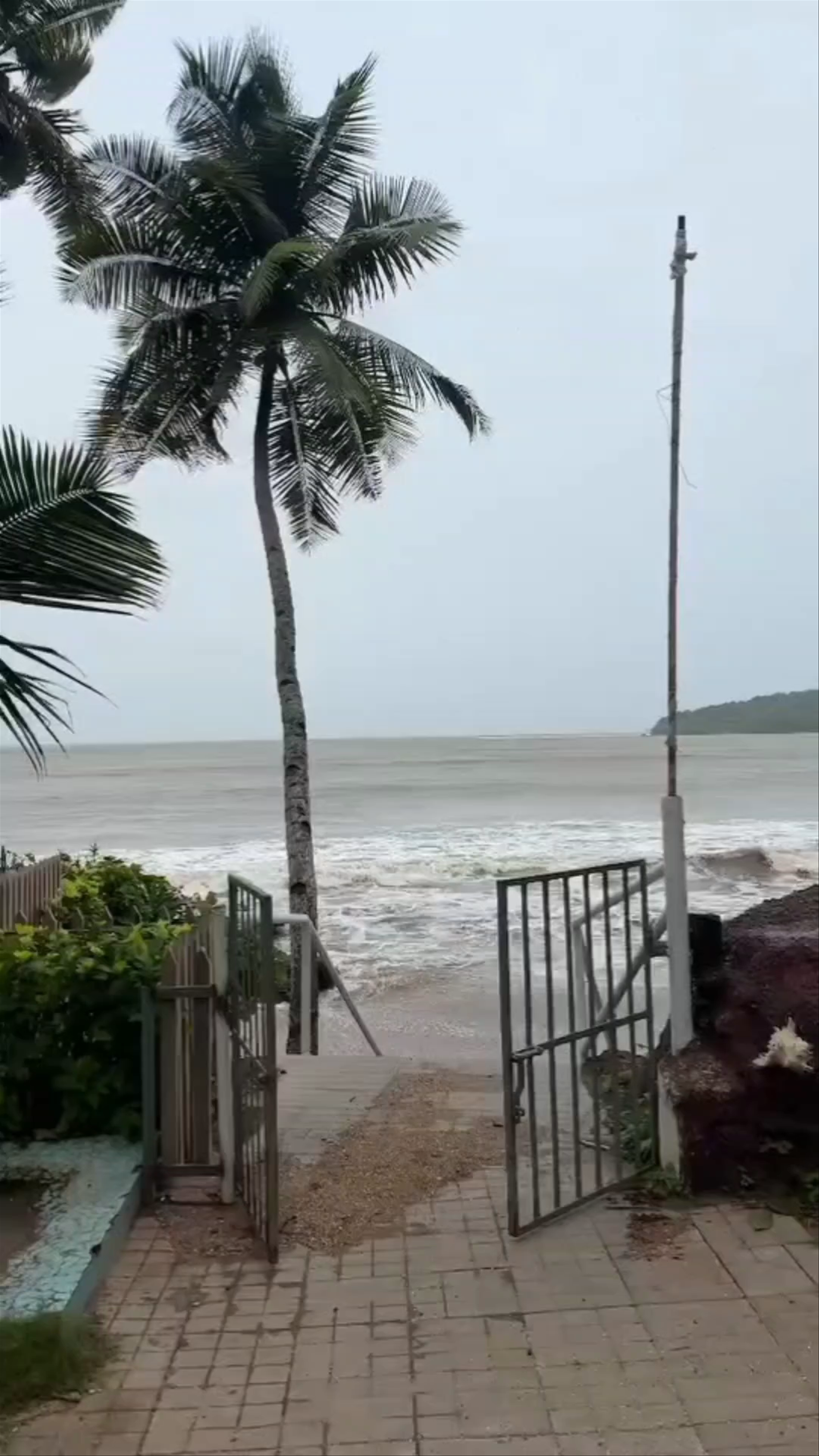 Calangute Beach Tranquility: A Coastal Escape in Goa, India