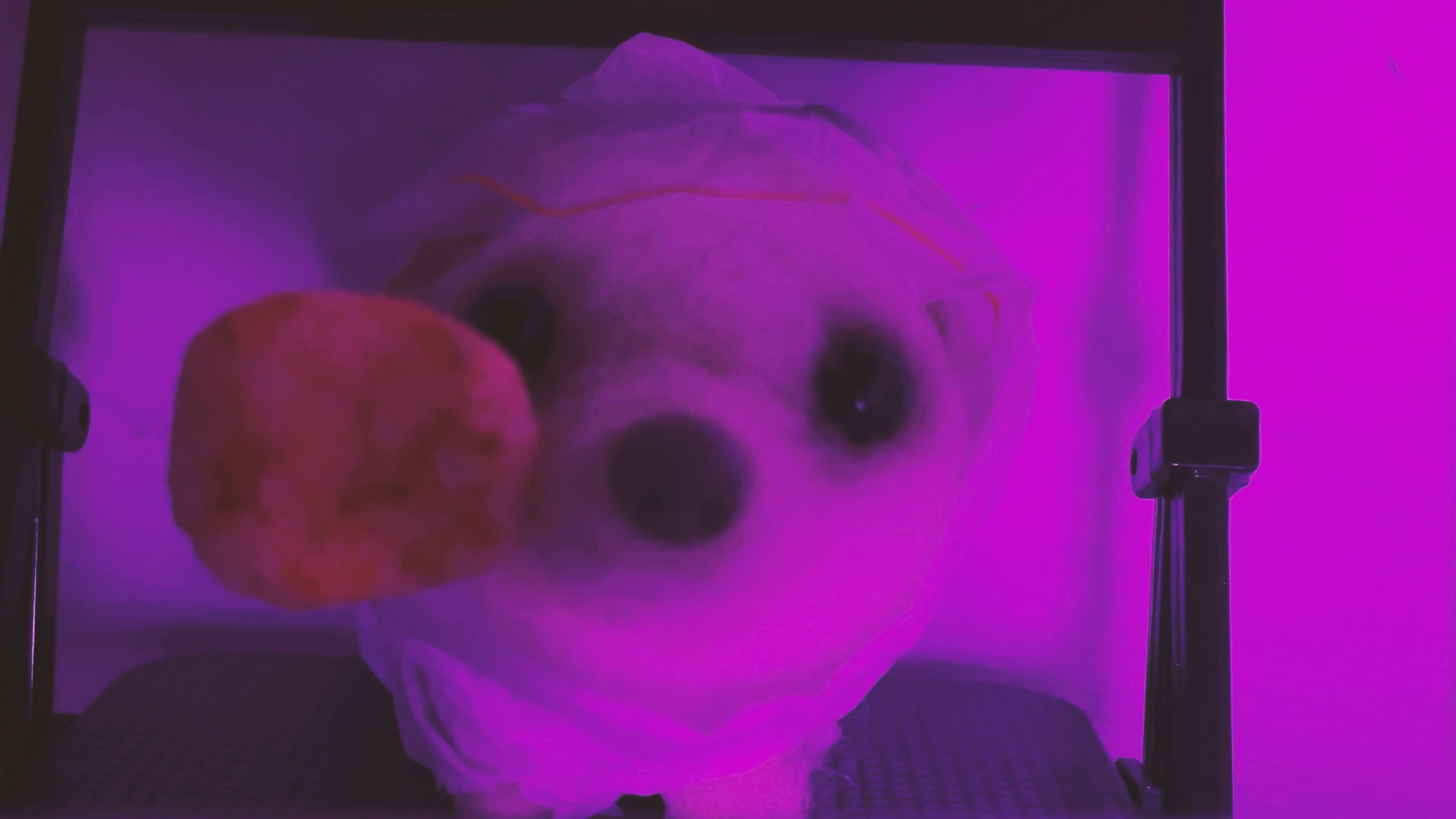 A static shot of a small plush toy undergoes rapid, rhythmic shifts in vibrant color filters and lighting overlays. The visual sequence demonstrates creative digital processing applied to a central character.