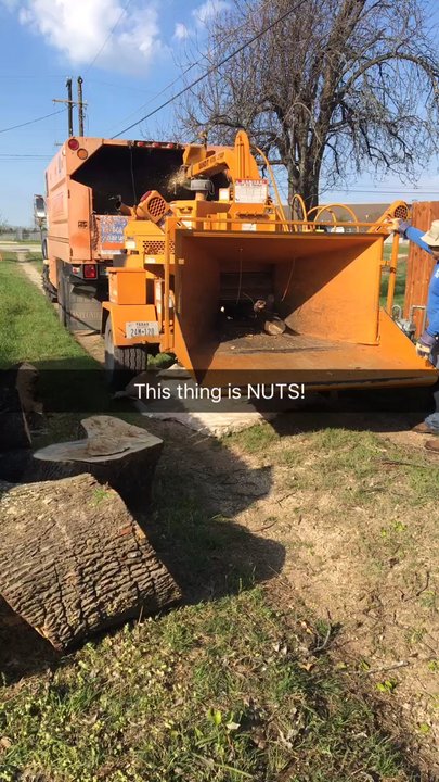 Lovett Tree Service - Tree Services Near Me - Dallas, Texas