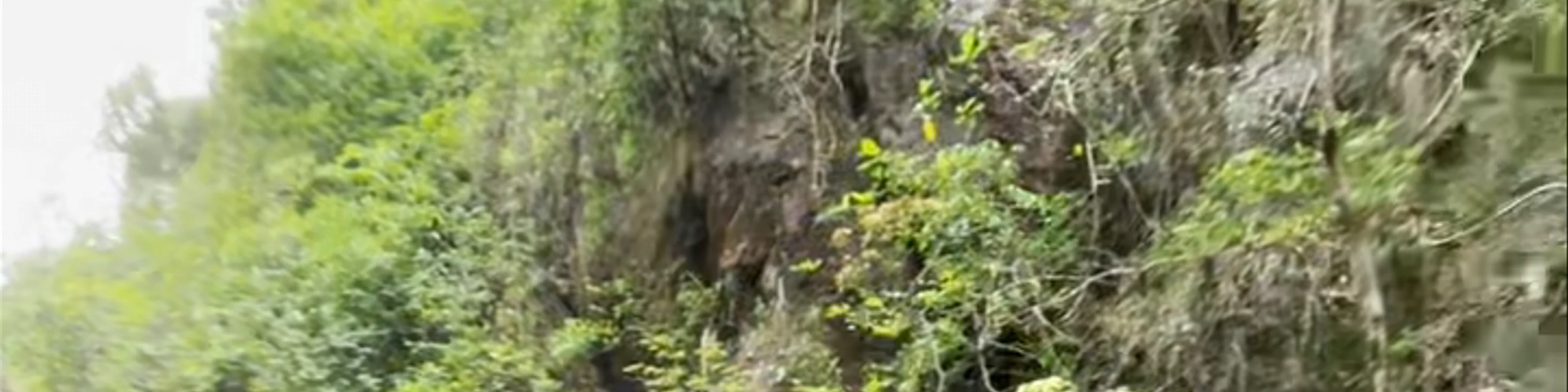 Tai Tam Mound Fall