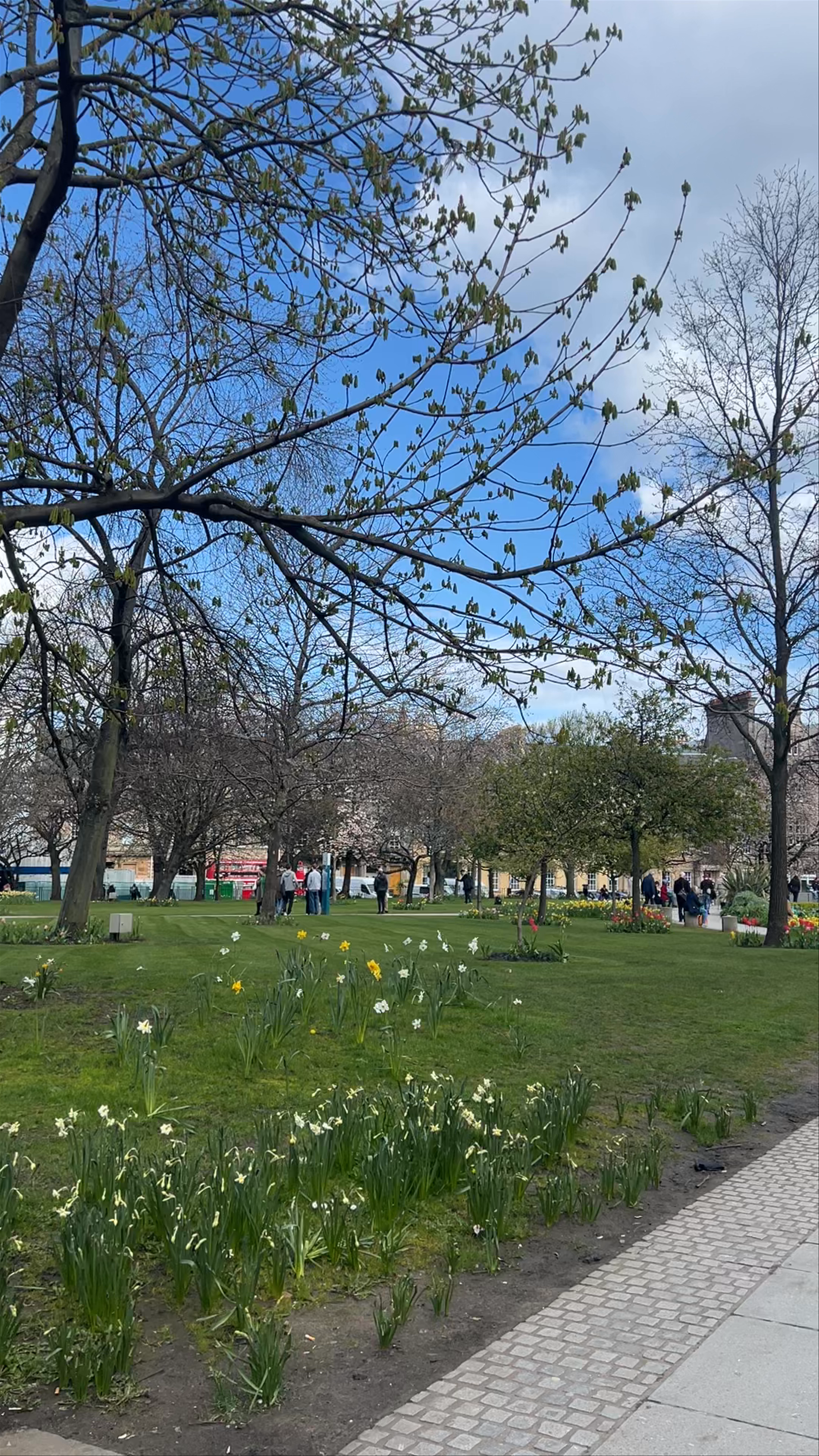 St. Andrew’s Park