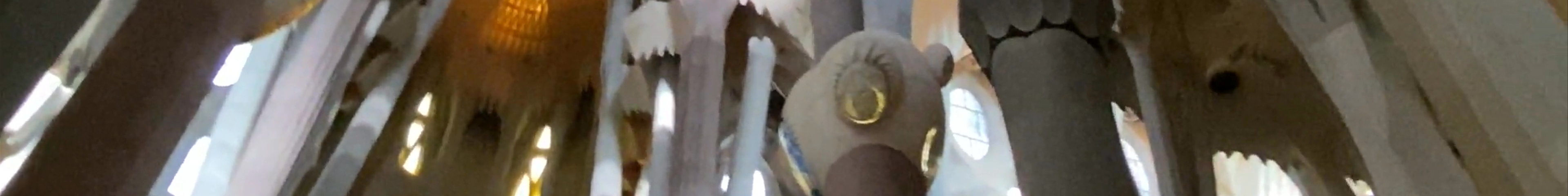 Tours & experiences in Sagrada Família