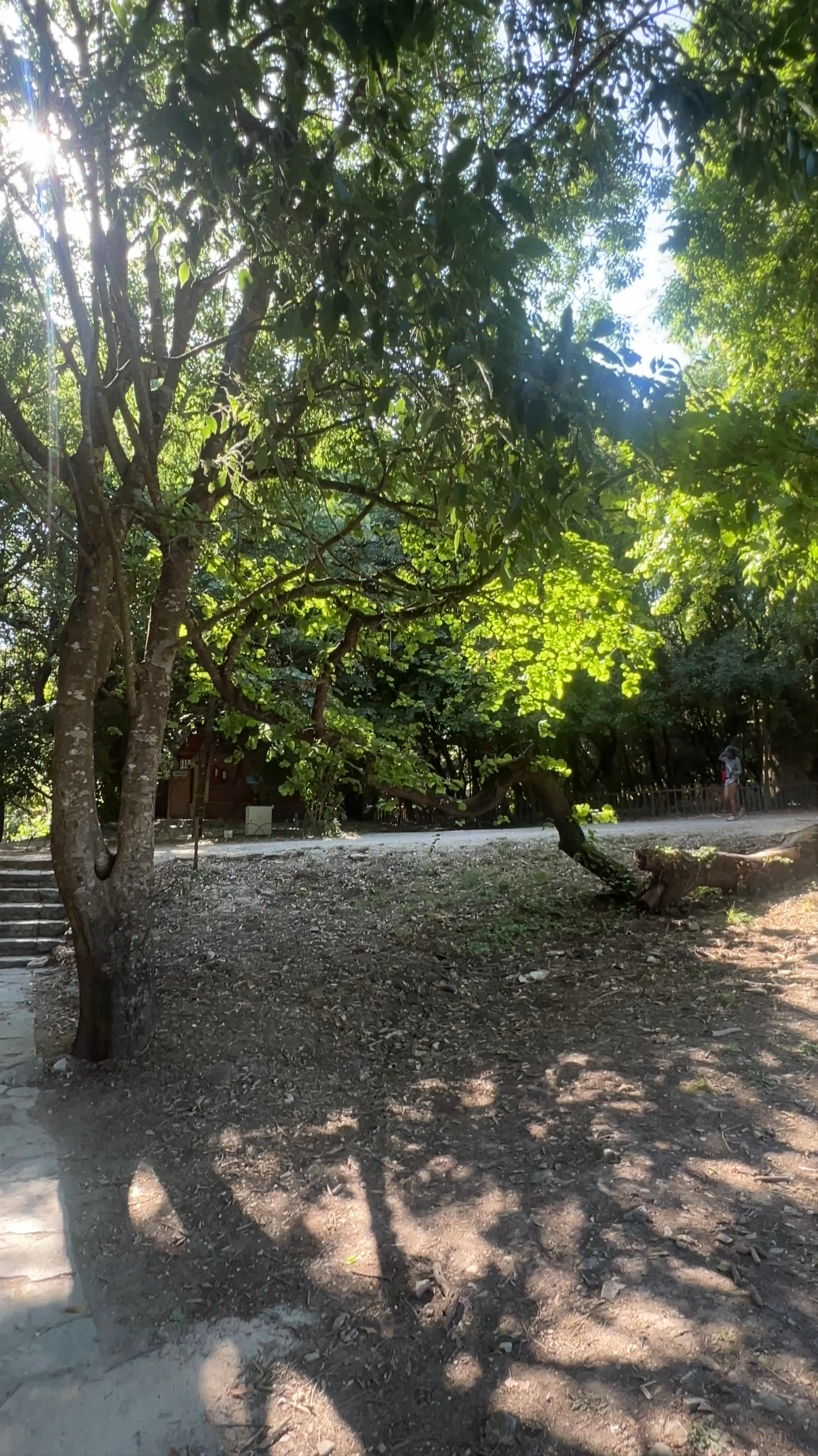 Butrint National Park