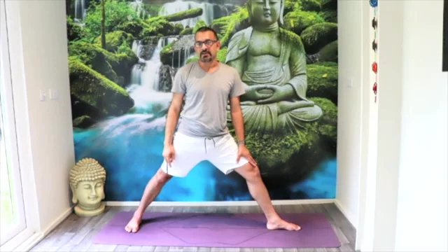 Yoga Alignment - BEGINNER TO ADVANCE