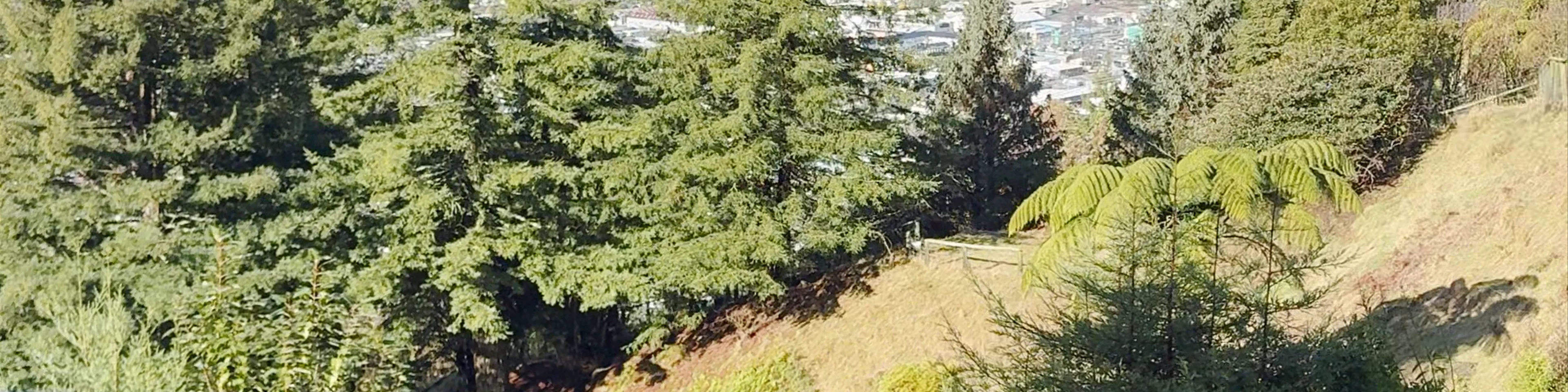 Skyline Luge Primary Launch Area Mountain Road