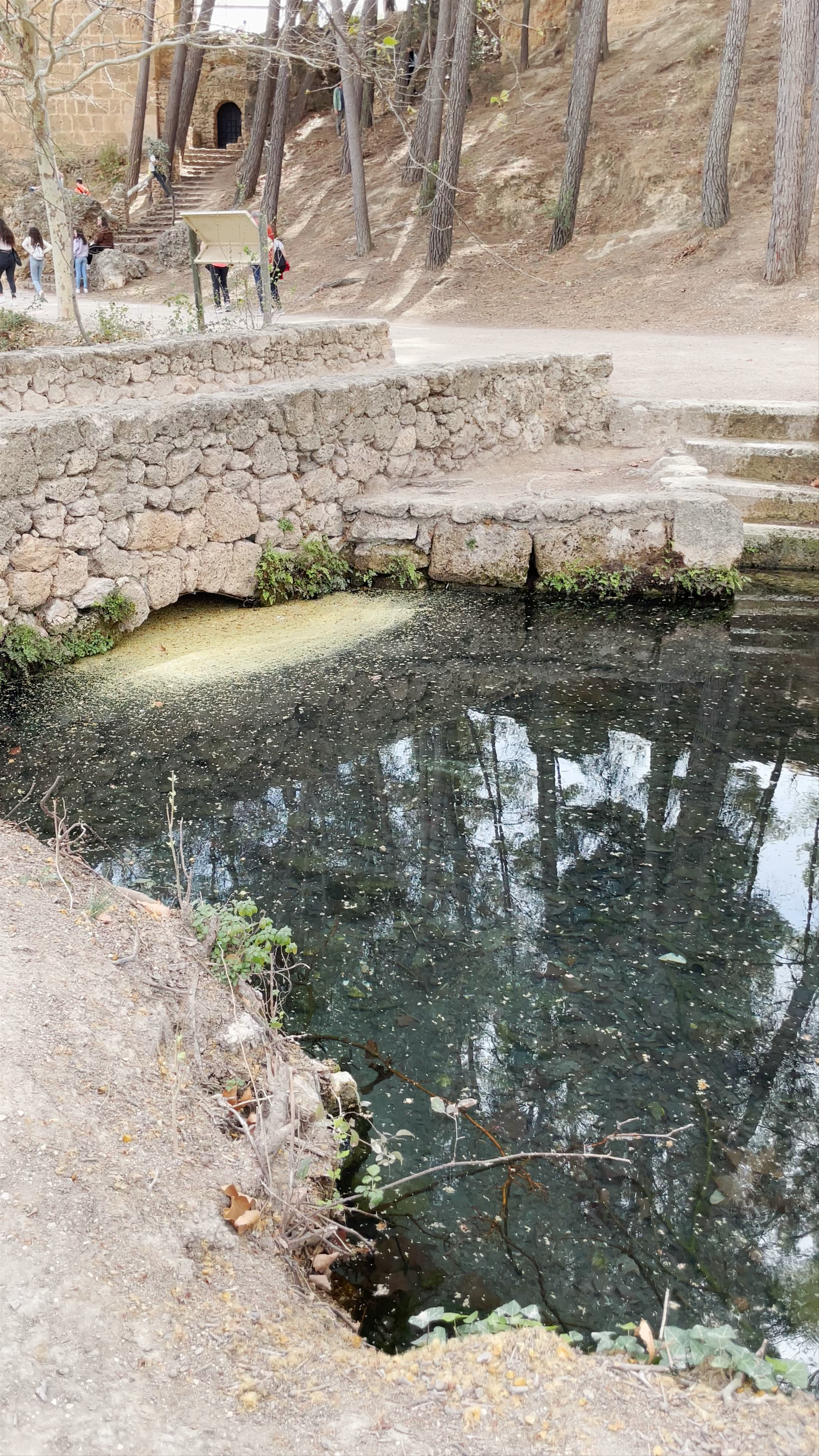 Fuentes del Marqués