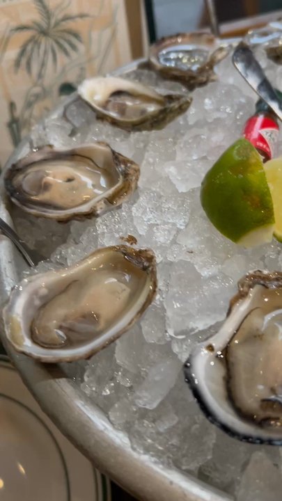 Over Under - Oysters ($12 for 12, happy hour and all day Sunday) - Burgers Near Me - Miami, Florida