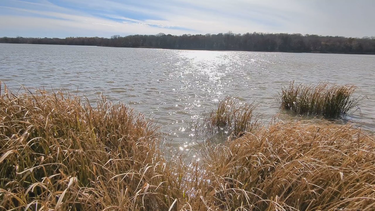 Fort Parker State Park - Parks Near Me - Mexia, Texas