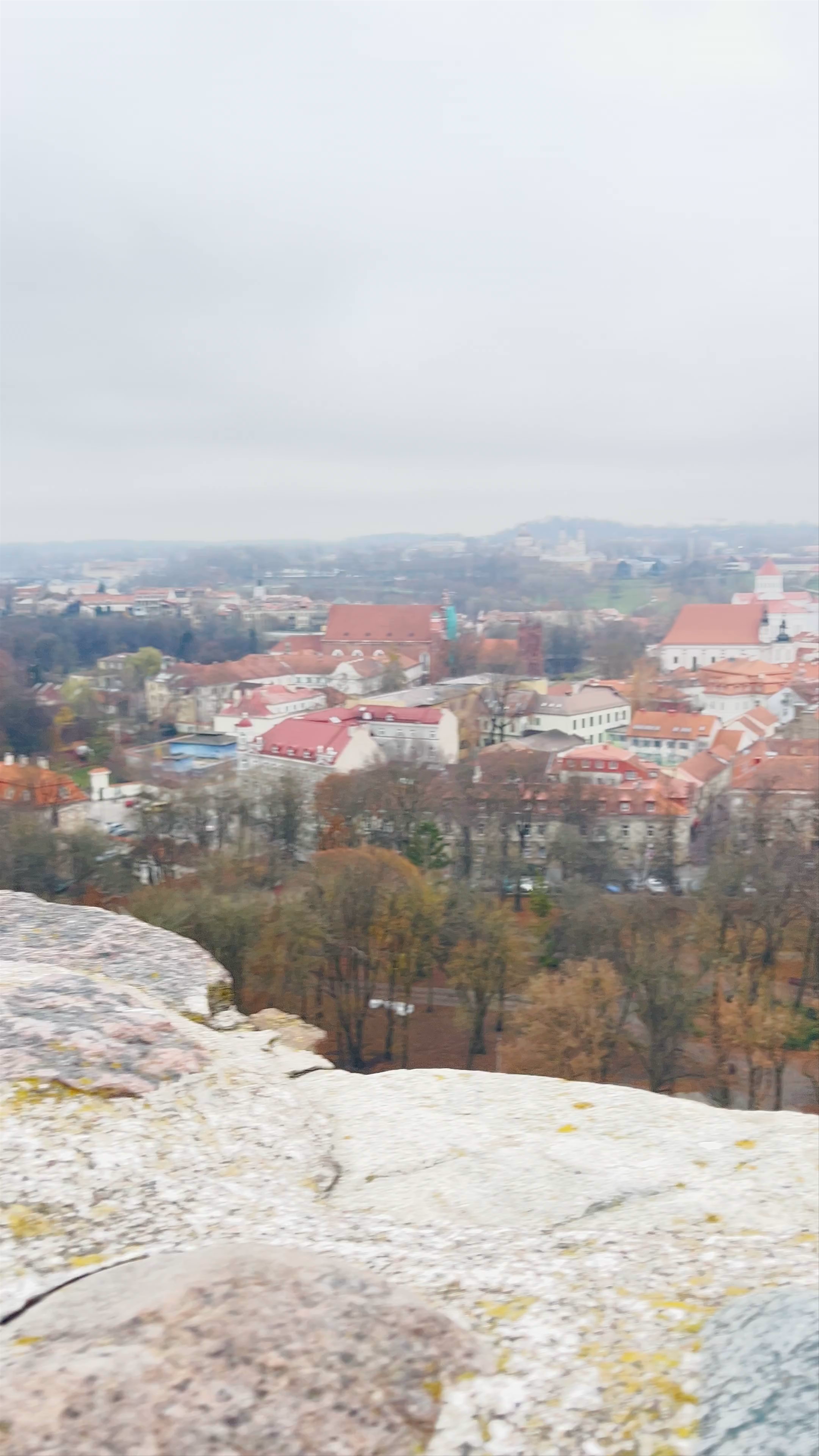 Gediminas Castle Tower
