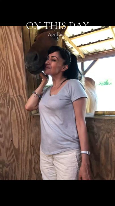 Katy Pet Wellness Solutions - Veterinarians Near Me - Katy, Texas