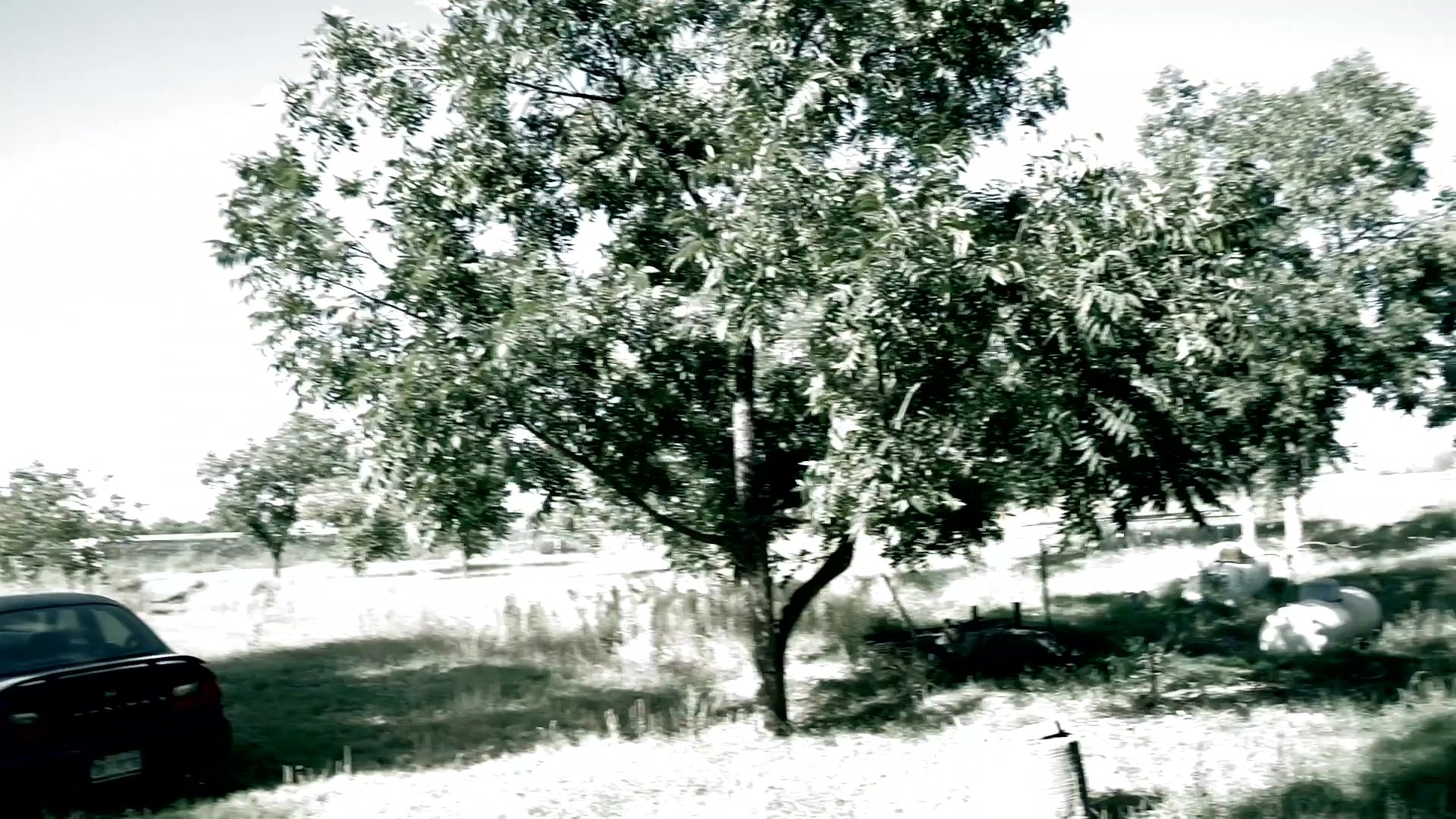 A man provides a verbal introduction before transitioning to exterior footage of a rural residential property, highlighting the backyard, mature trees, and existing structures.