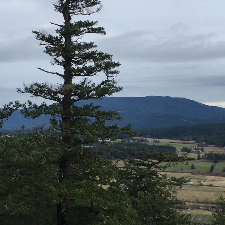 Turtleback Mountain Preserve - Views - Hiking Near Me - Eastsound, Washington