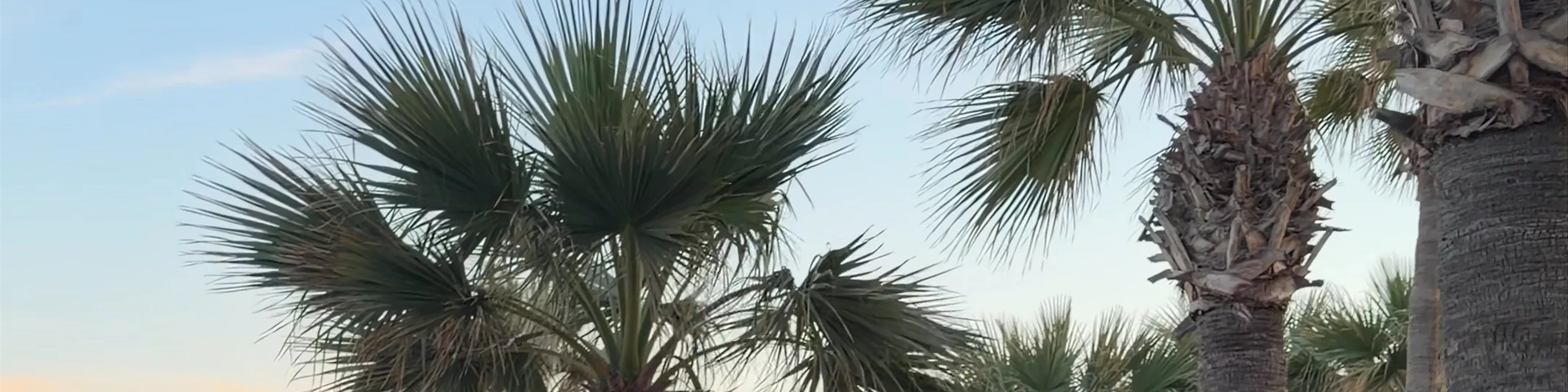 Mackenzie Beach