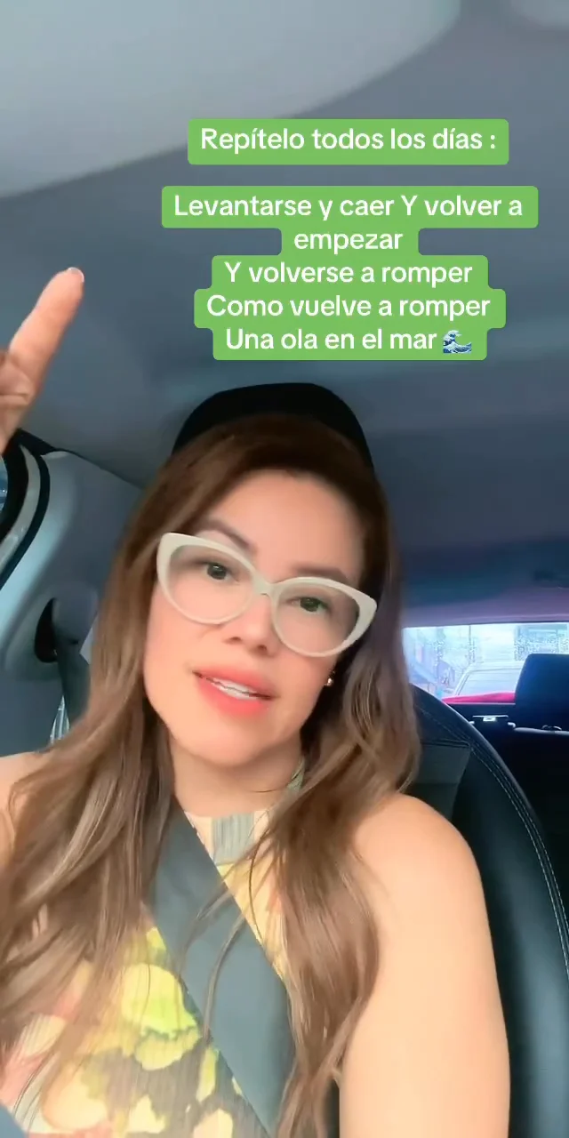 Contenido del creador
