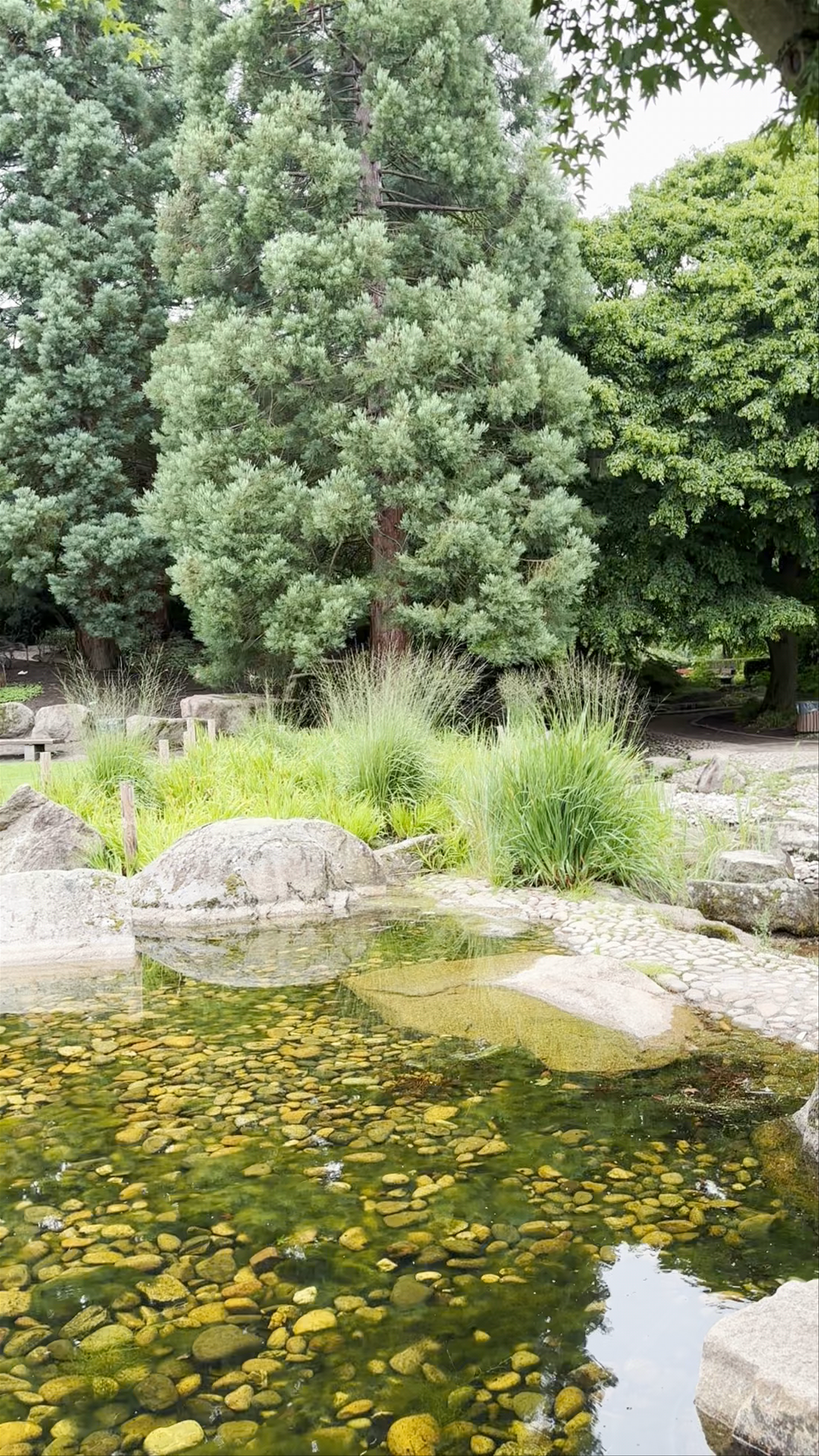 Japanischer Garten