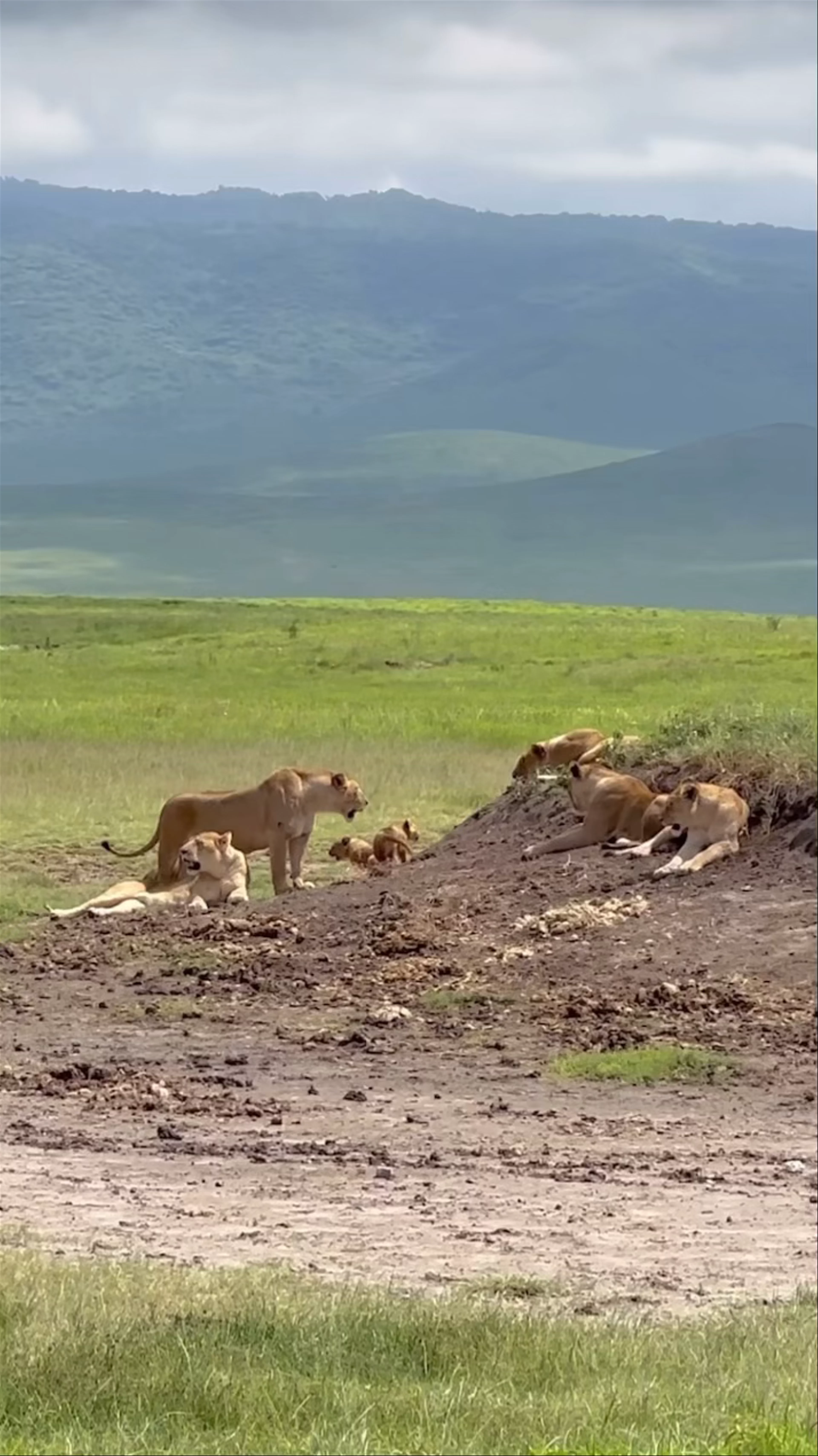 Ngorongoro Crater, Tanzania
