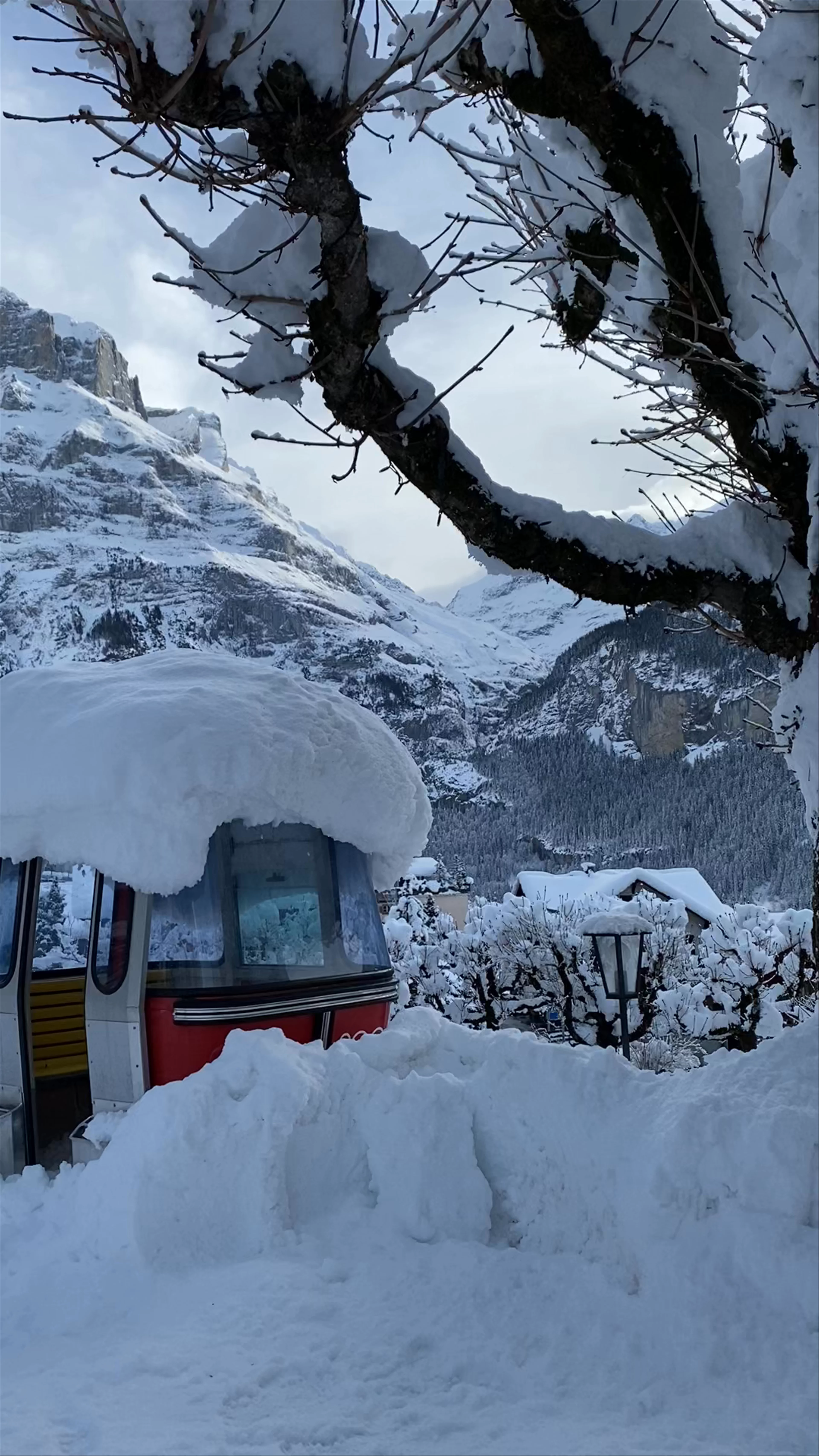 Hotel Belvedere Grindelwald