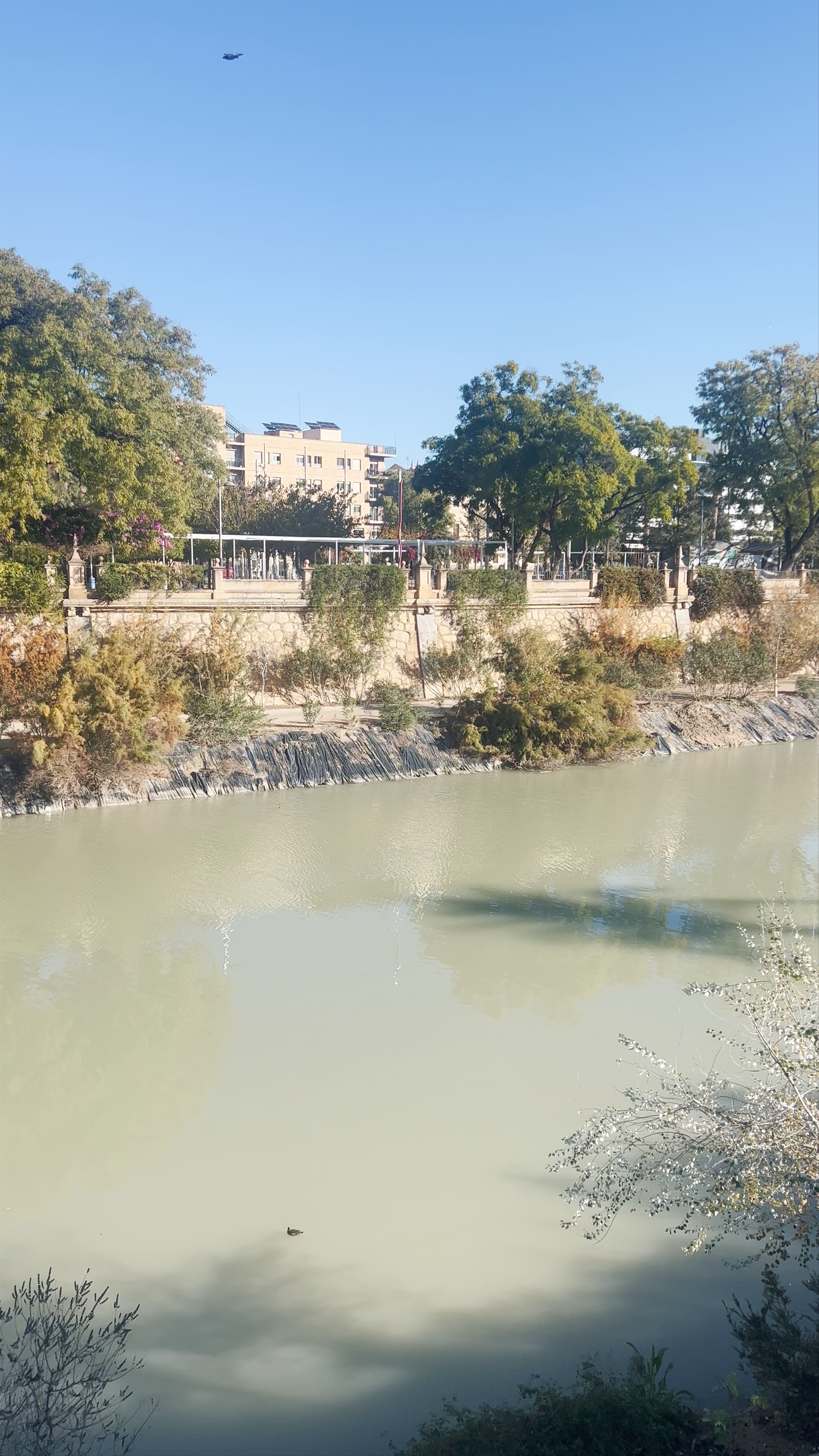 Puente de Hierro