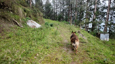 Ma chance légendaire