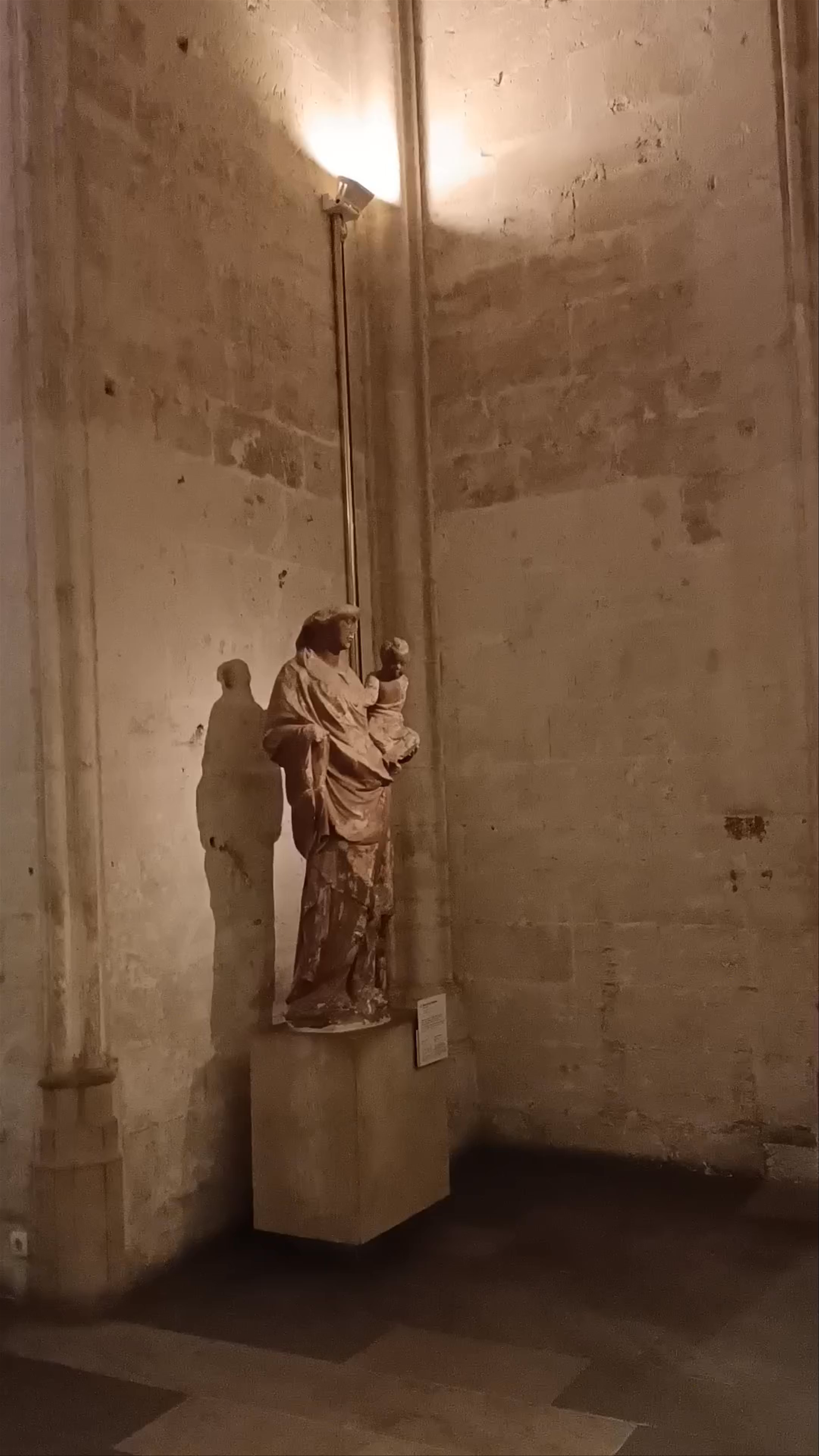 Museu de La Seu de Mallorca