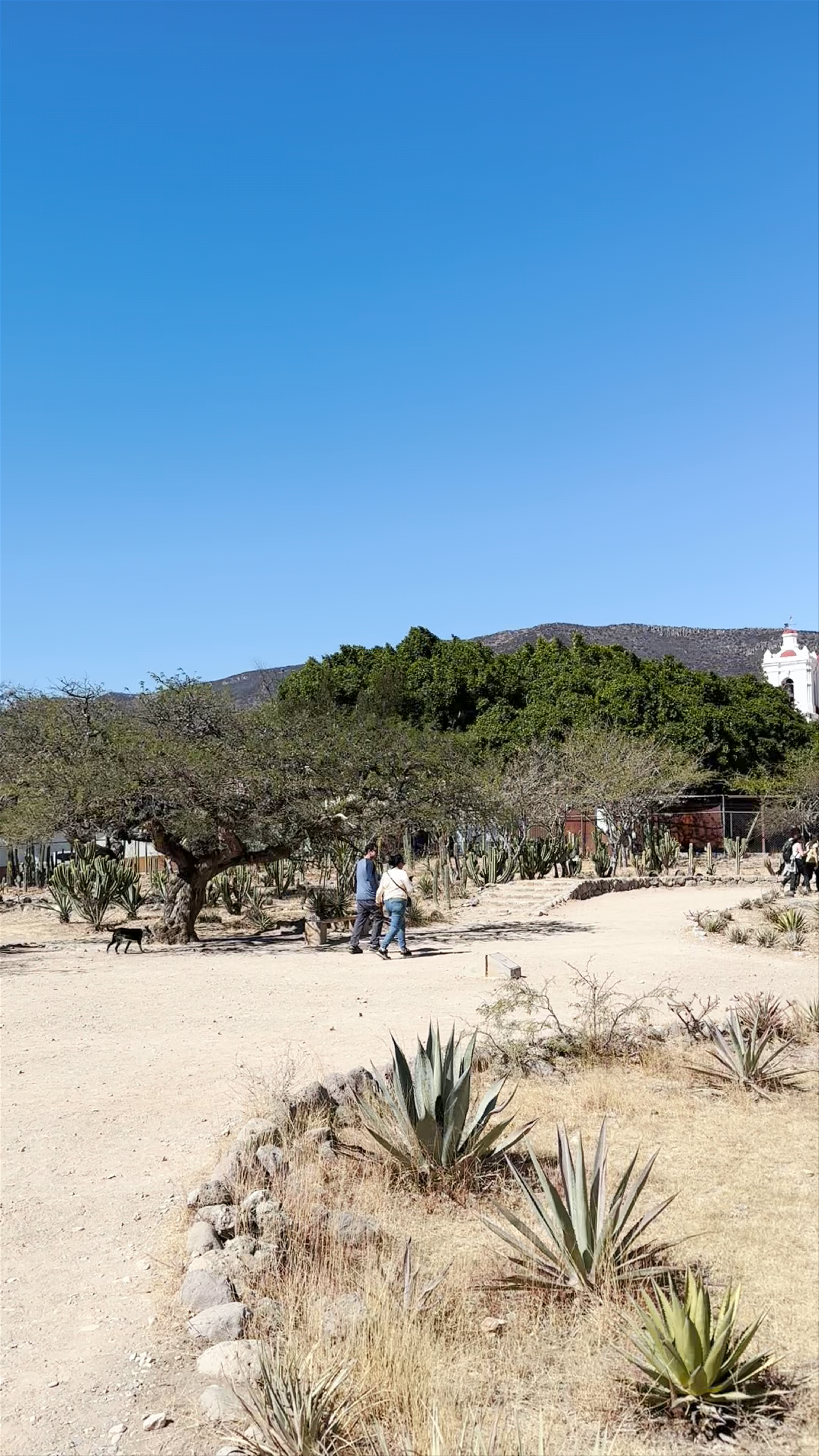Columna recuperada recientemente