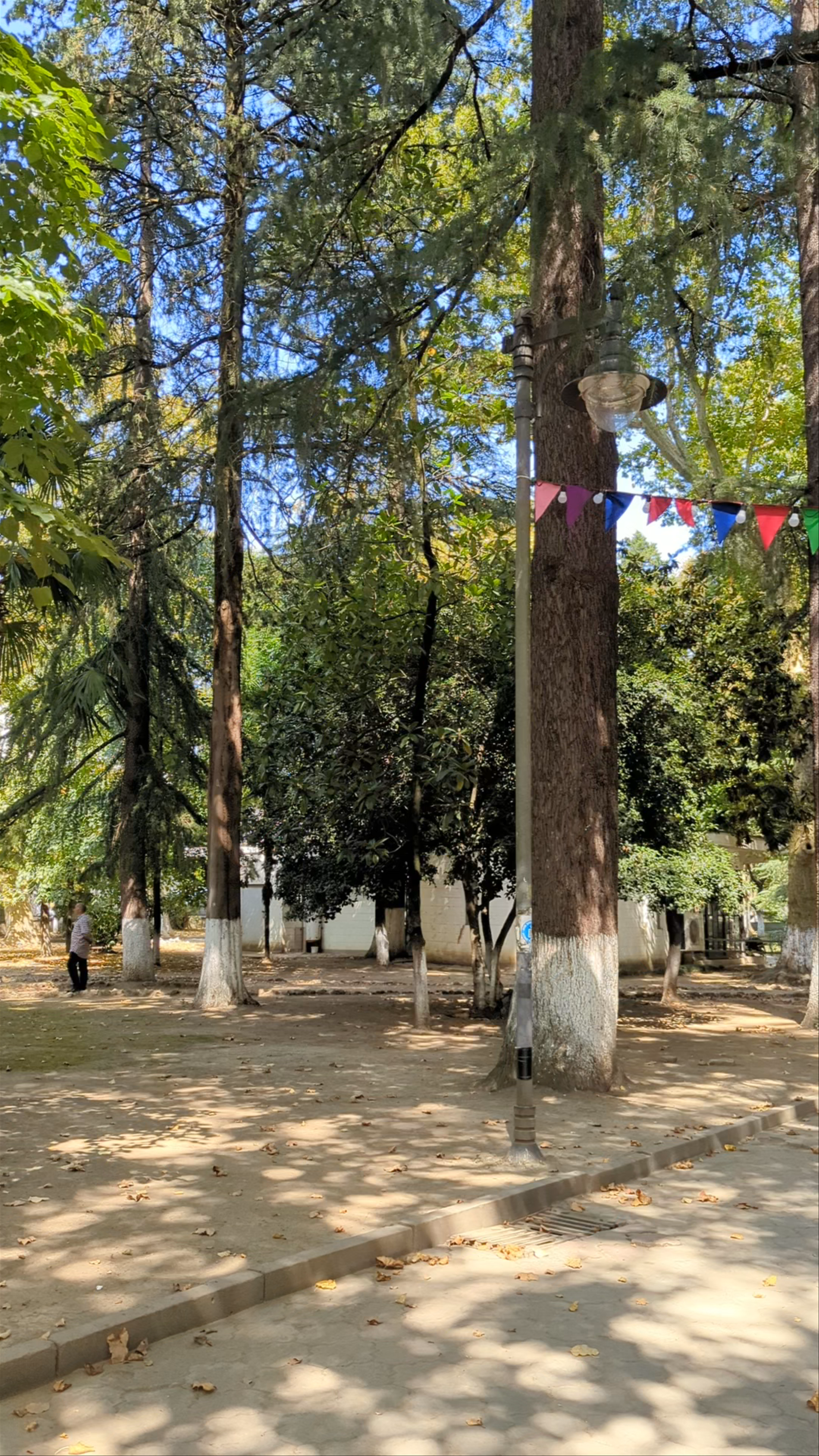 Kutaisi Park
