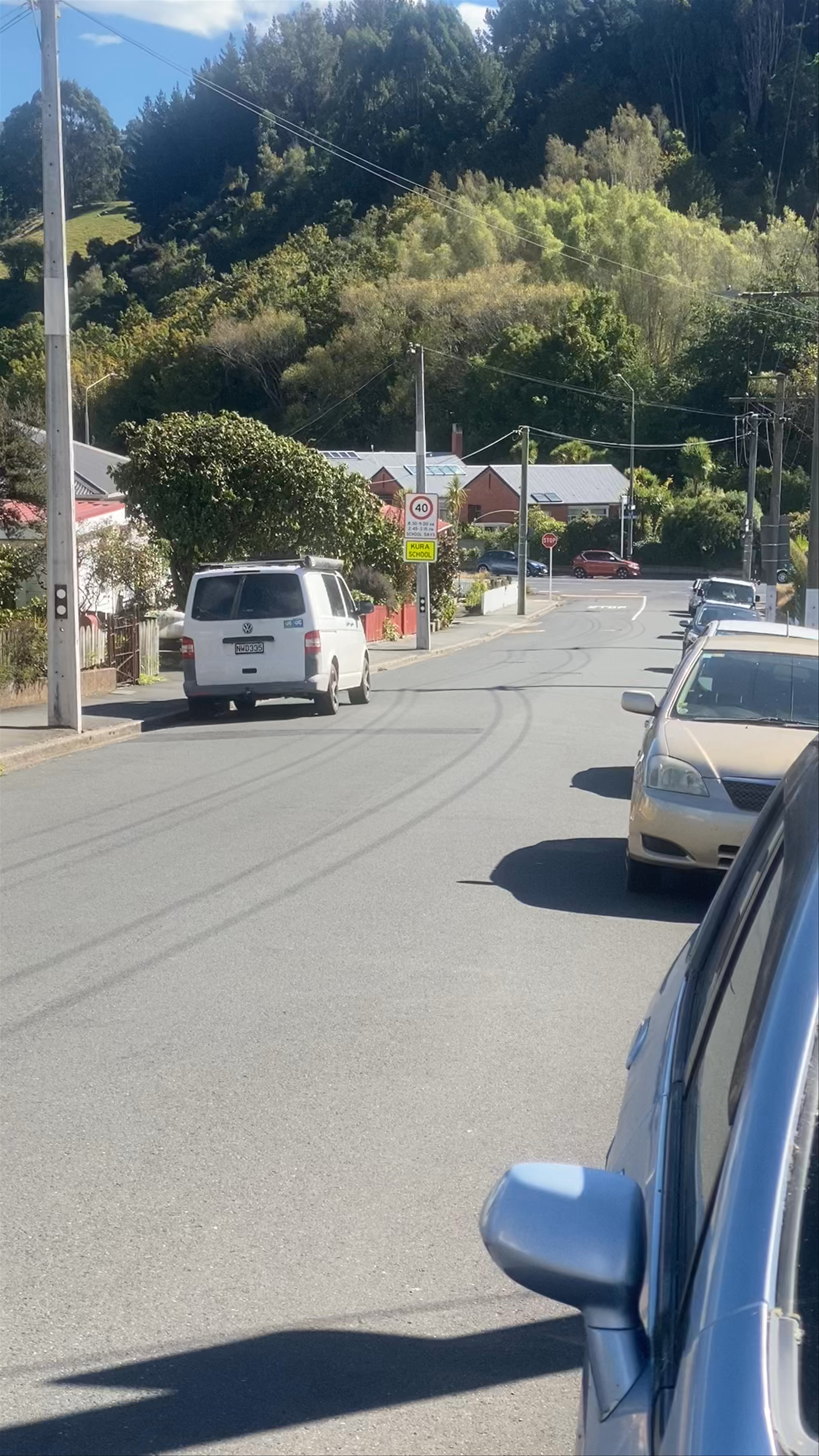 Baldwin Street - The Steepest Street in the World