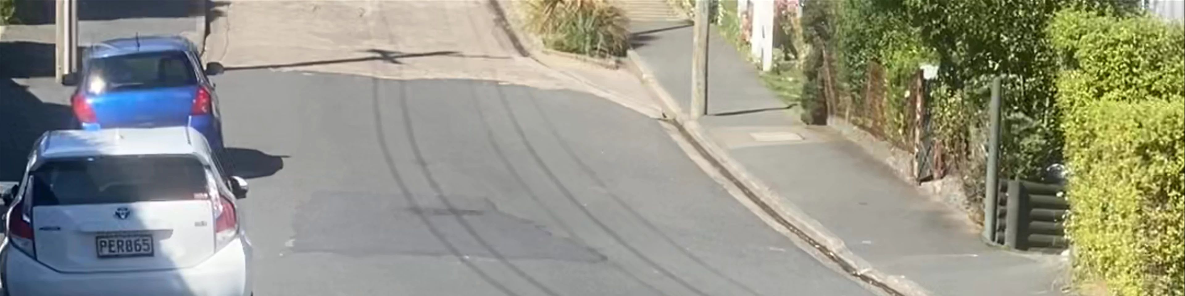Baldwin Street - The Steepest Street in the World