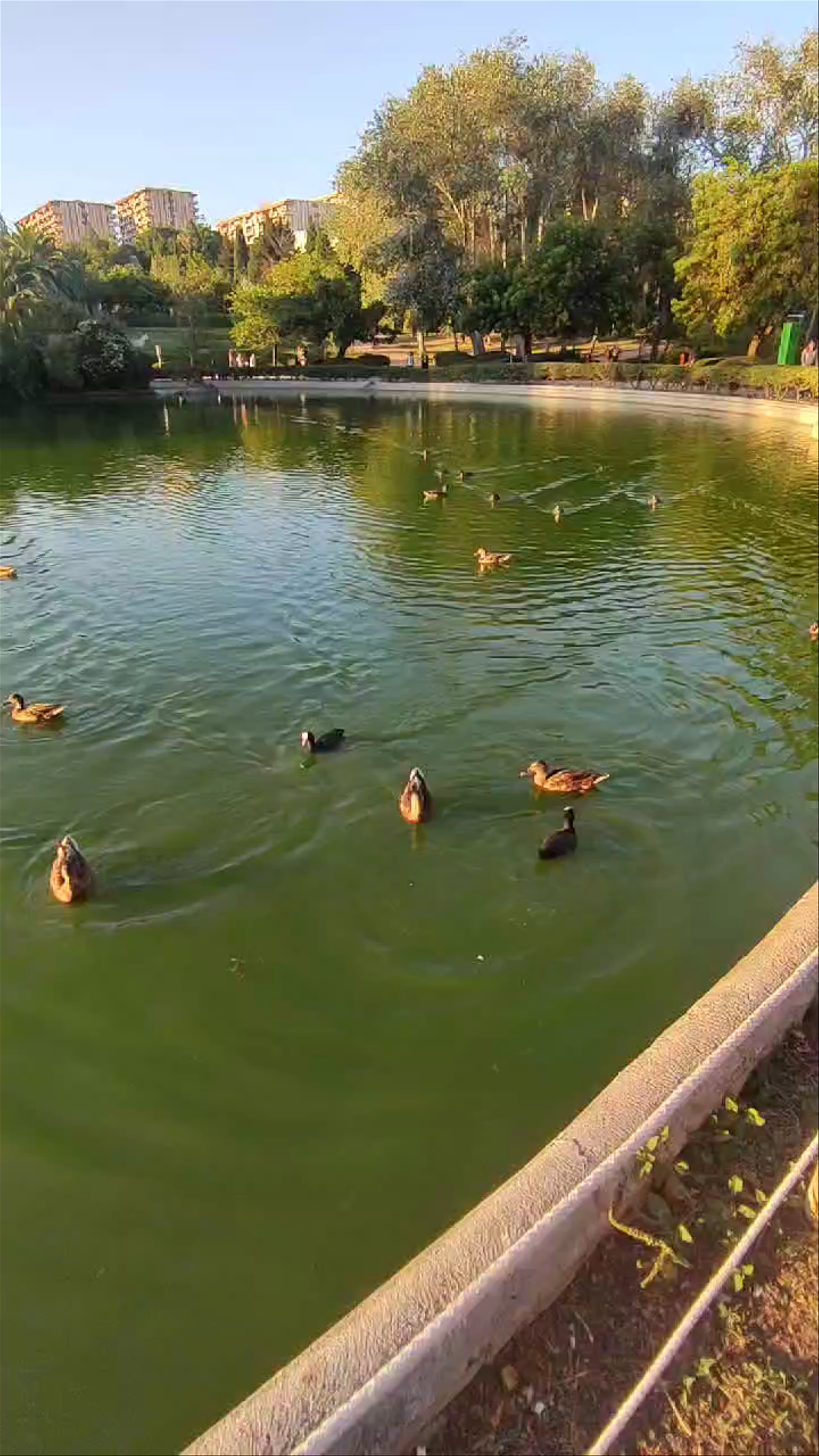 Peaceful Afternoon at Parque de la Paloma in Benalmádena