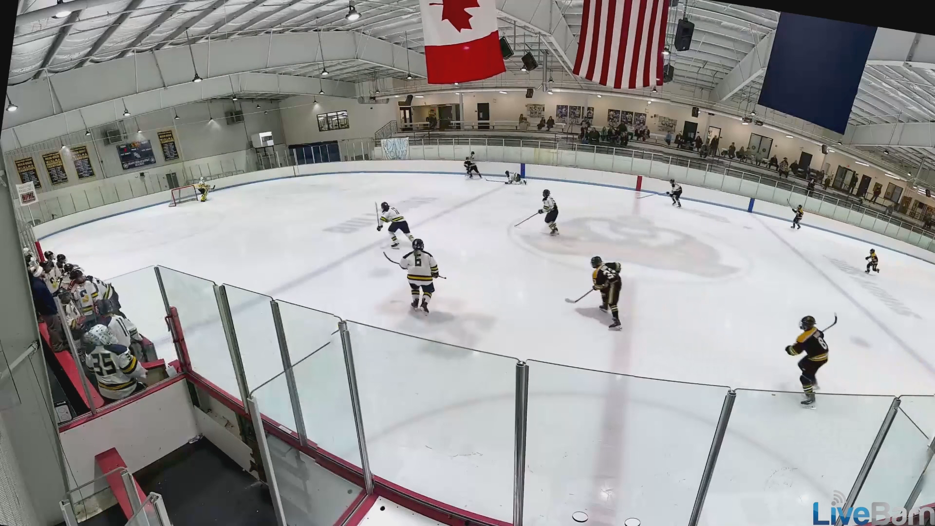 Luke Schmidt's Back Check: Shady Side Academy Highlights