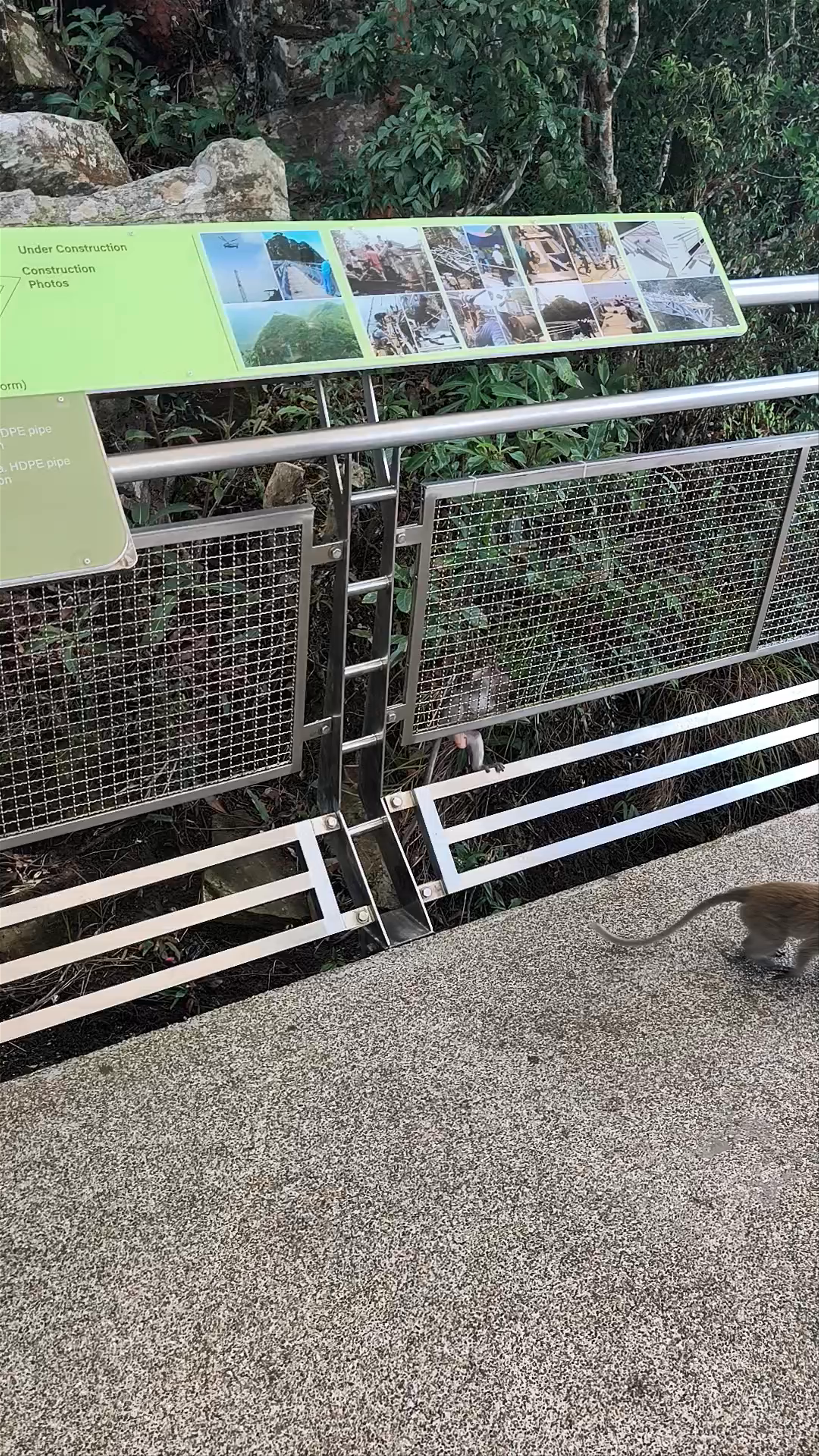 Hutan Lipur Air Terjun Temurun