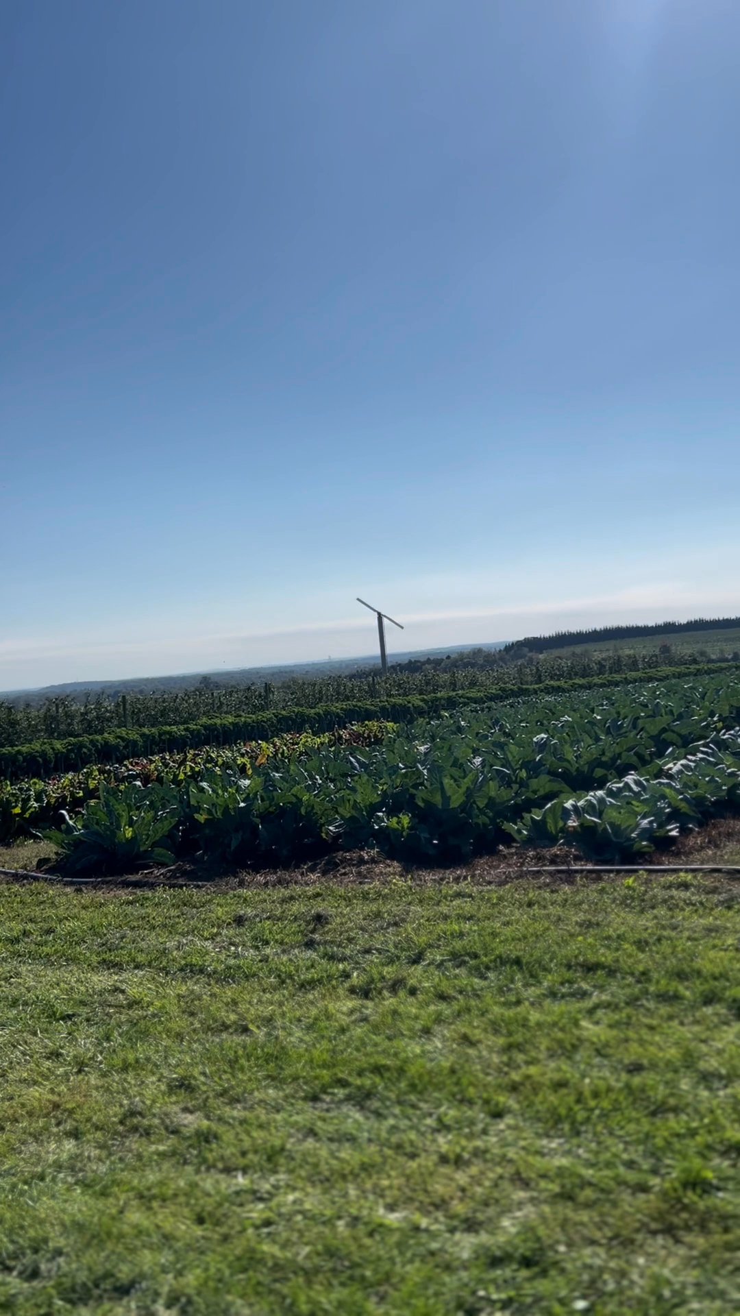 CATOCTIN MOUNTAIN ORCHARD - Updated December 2025 - 177 Photos