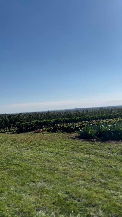 Catoctin Mountain Orchard - Beautiful views - Fruits & Veggies Near Me - Thurmont, Maryland